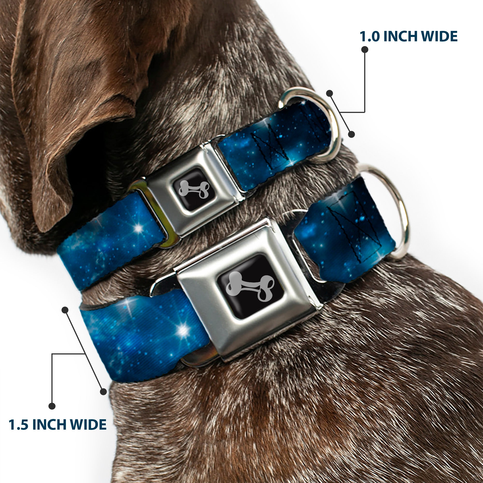 Dog Bone Seatbelt Buckle Collar - Galaxy Blues/Blues Seatbelt Buckle Collars Buckle-Down