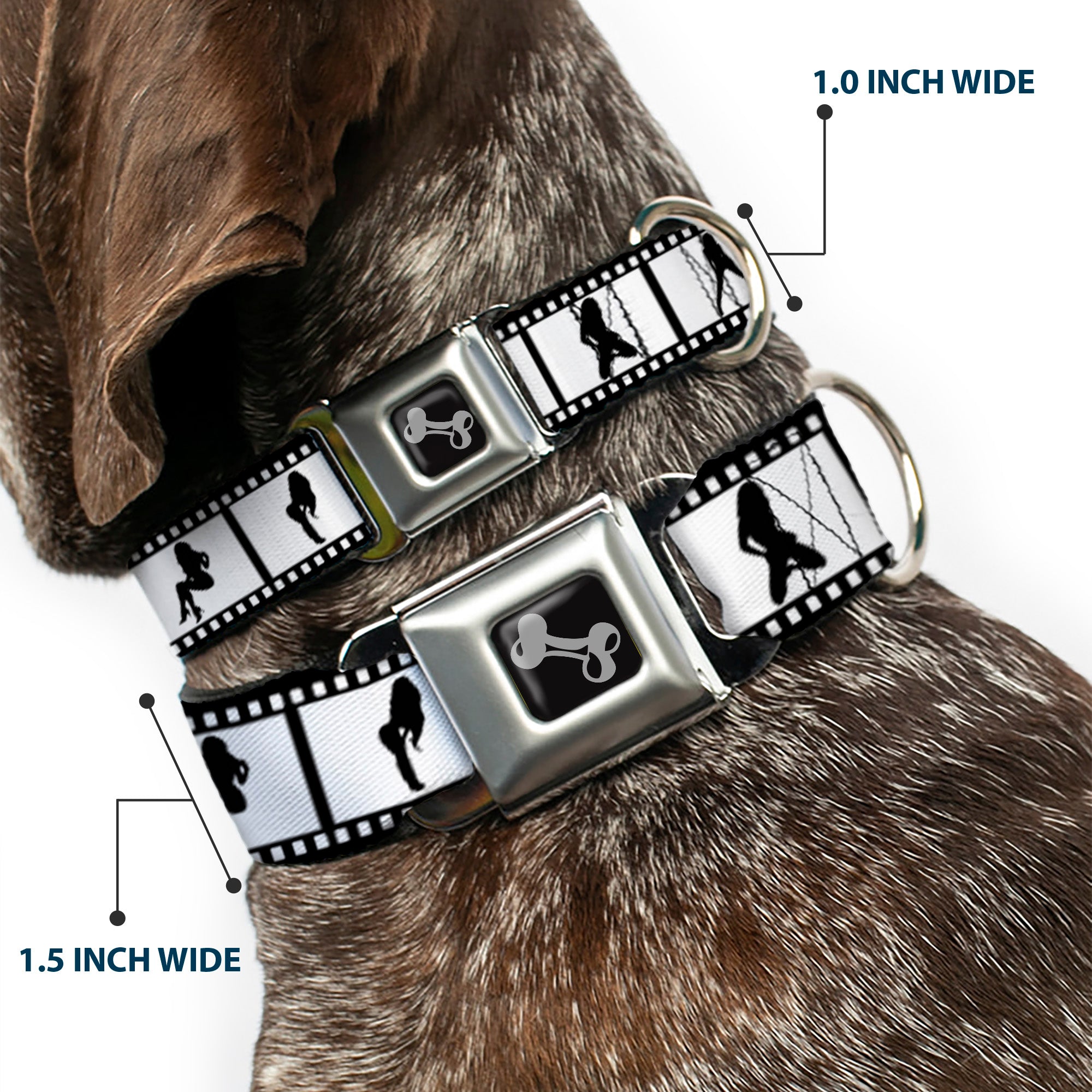 Dog Bone Seatbelt Buckle Collar - Girls Posing Film Strip White/Black Seatbelt Buckle Collars Buckle-Down