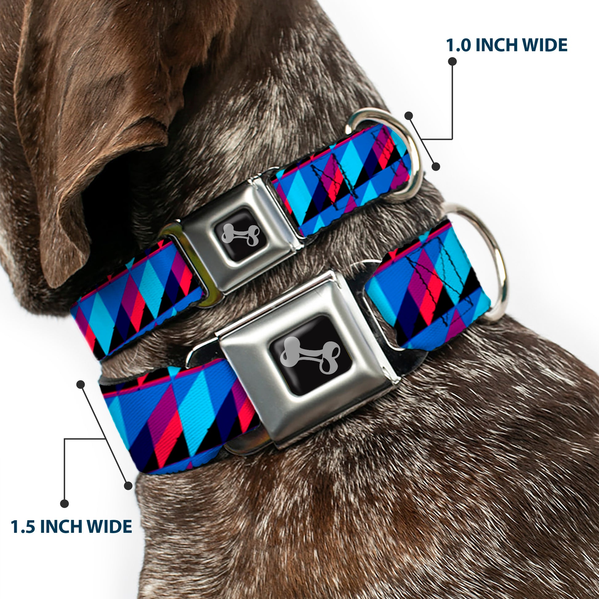 Dog Bone Seatbelt Buckle Collar - Geometric Peaks Blues/Purple/Red Seatbelt Buckle Collars Buckle-Down