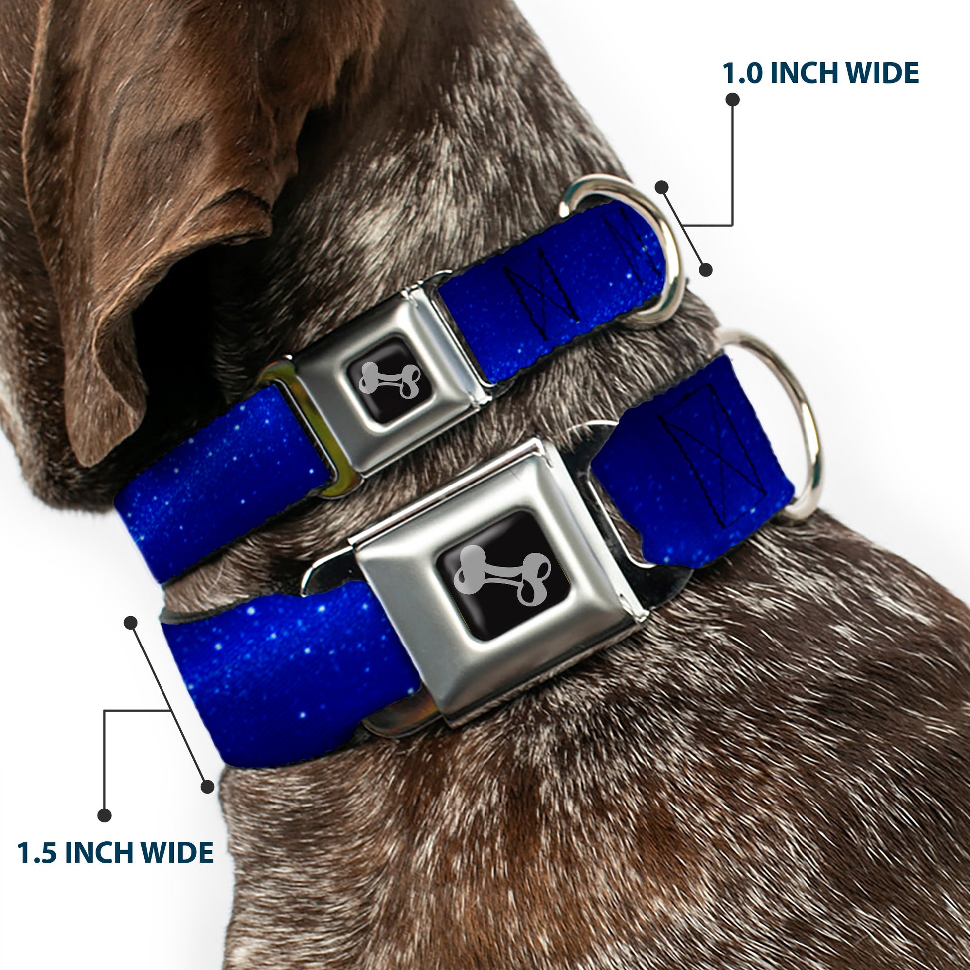 Dog Bone Seatbelt Buckle Collar - Galaxy Arch Blues/White Seatbelt Buckle Collars Buckle-Down