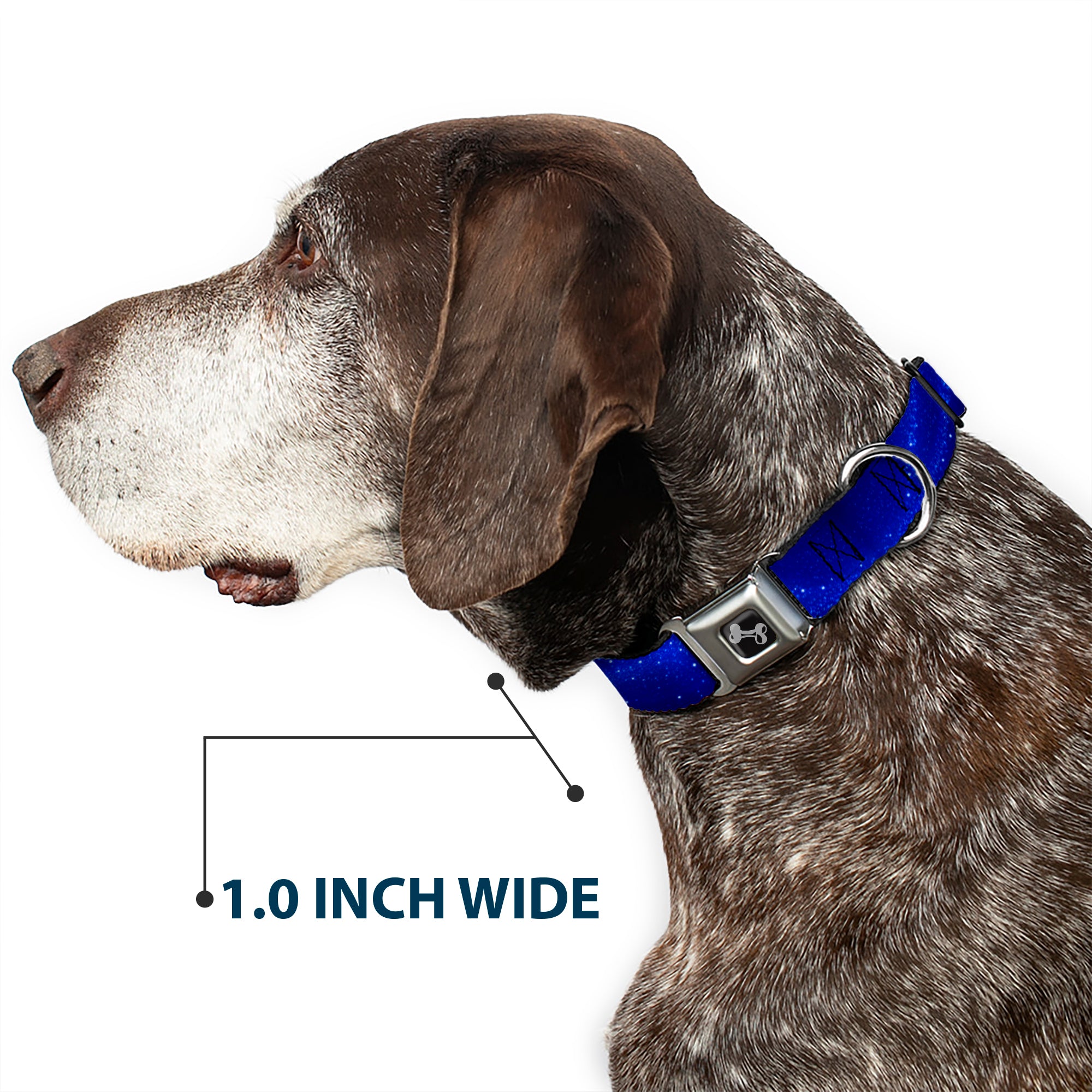 Dog Bone Seatbelt Buckle Collar - Galaxy Arch Blues/White Seatbelt Buckle Collars Buckle-Down