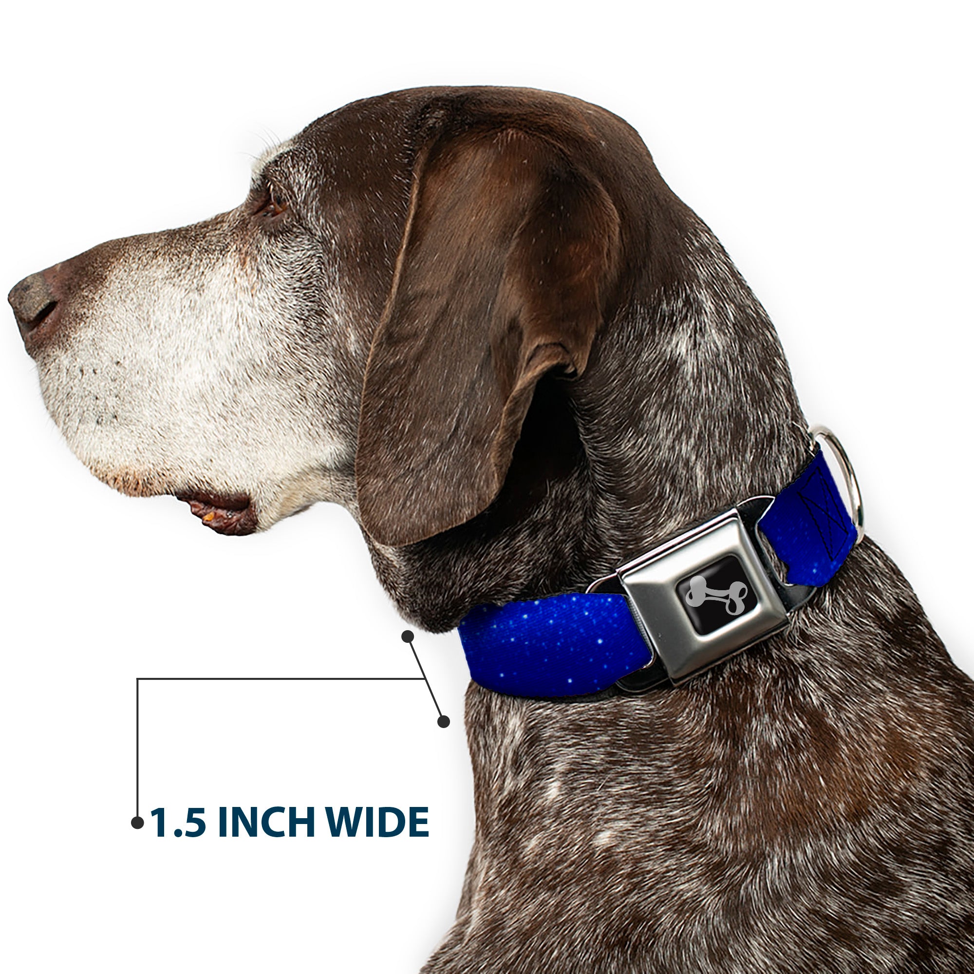 Dog Bone Seatbelt Buckle Collar - Galaxy Arch Blues/White Seatbelt Buckle Collars Buckle-Down