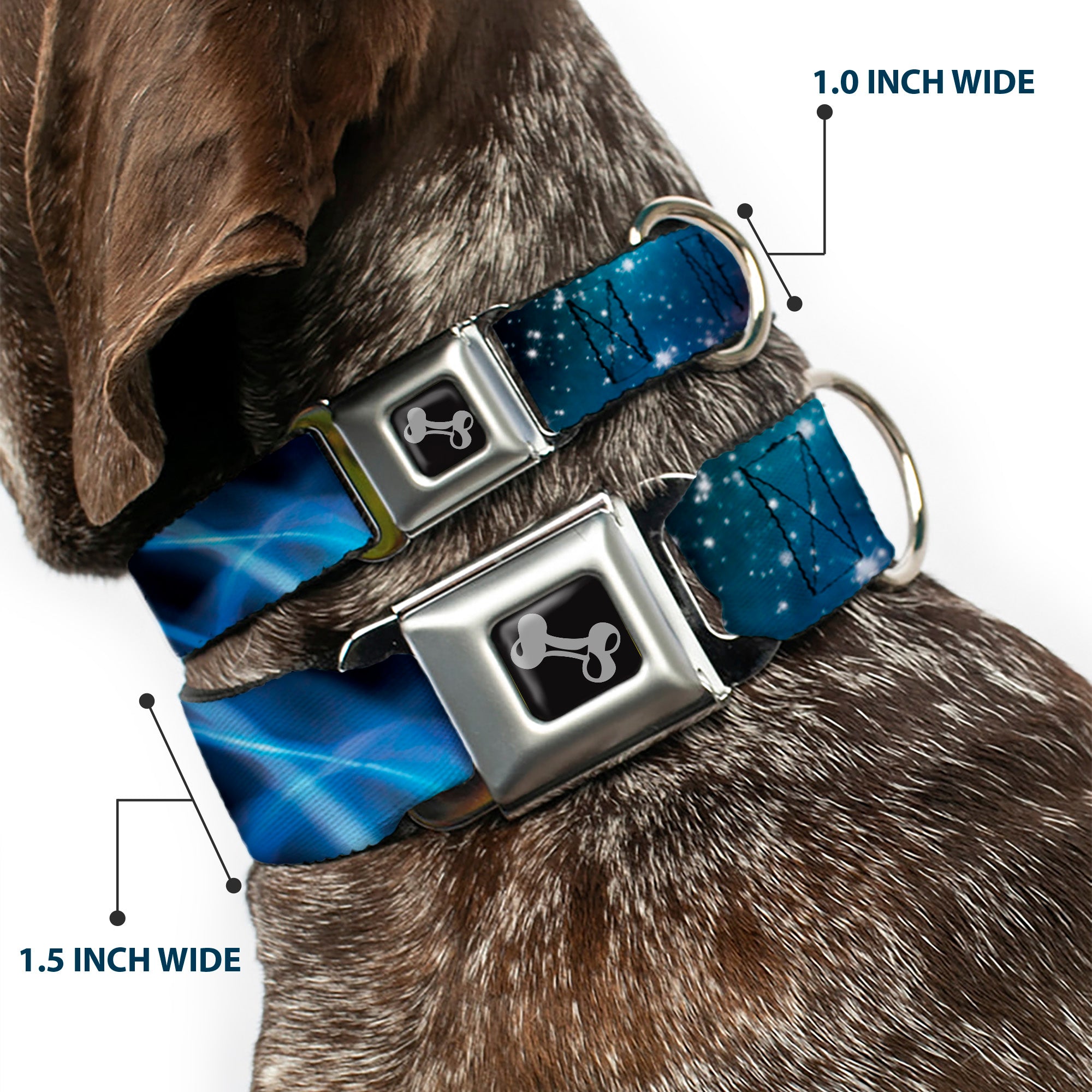 Dog Bone Seatbelt Buckle Collar - Galaxy Swirl/Shining Stars Seatbelt Buckle Collars Buckle-Down