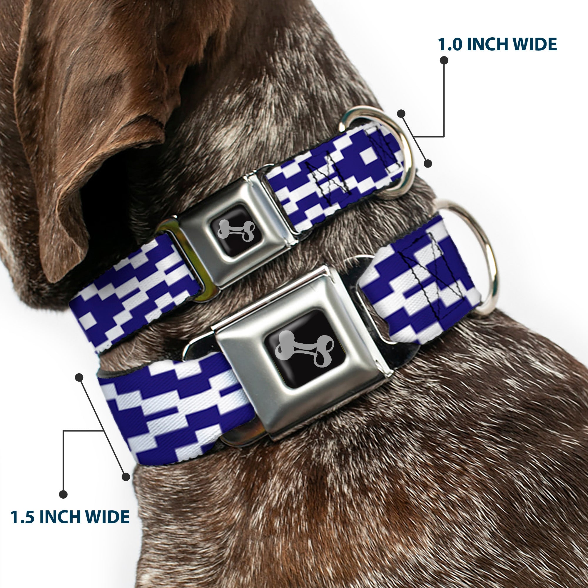Dog Bone Seatbelt Buckle Collar - Geometric Diamond Blue/White Seatbelt Buckle Collars Buckle-Down