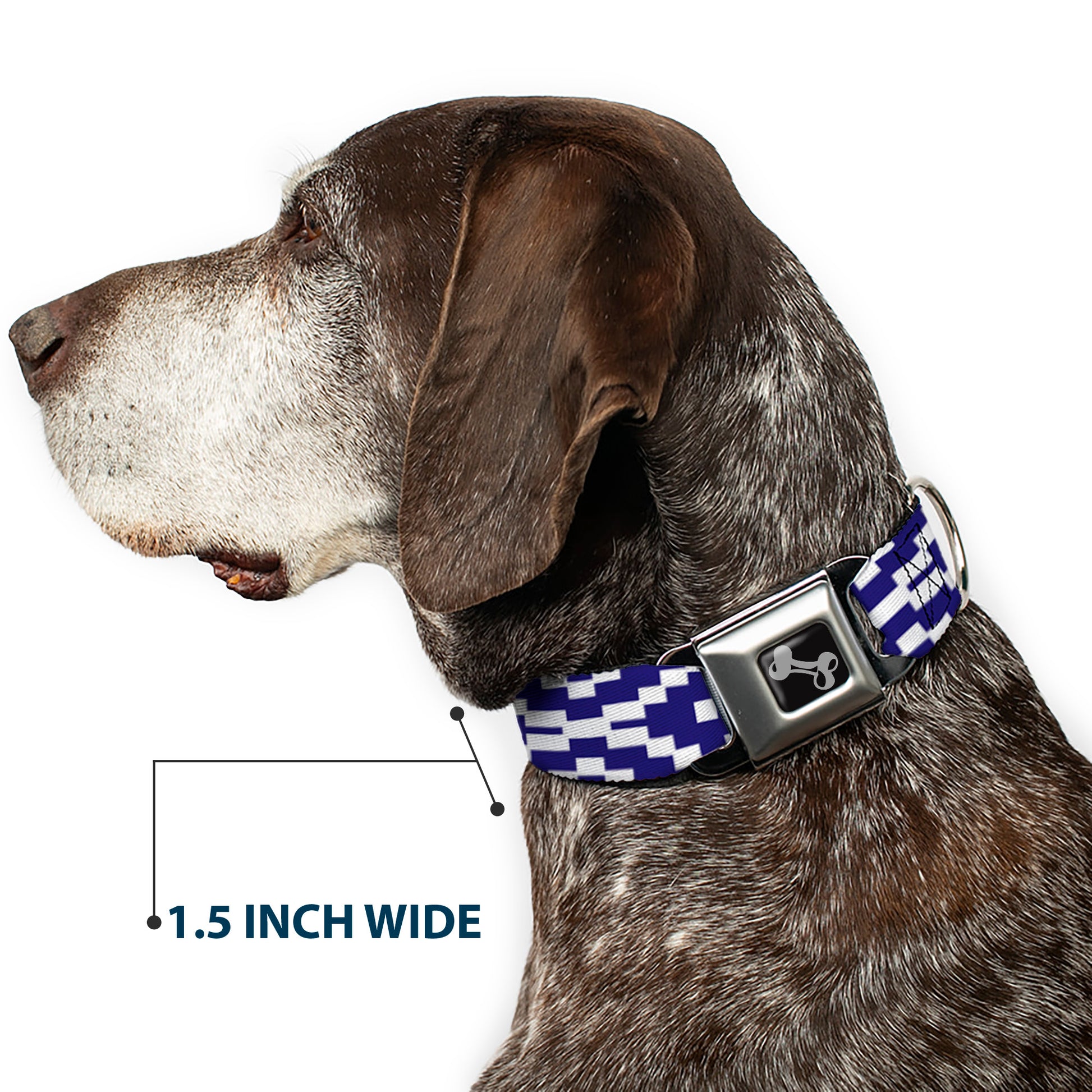 Dog Bone Seatbelt Buckle Collar - Geometric Diamond Blue/White Seatbelt Buckle Collars Buckle-Down