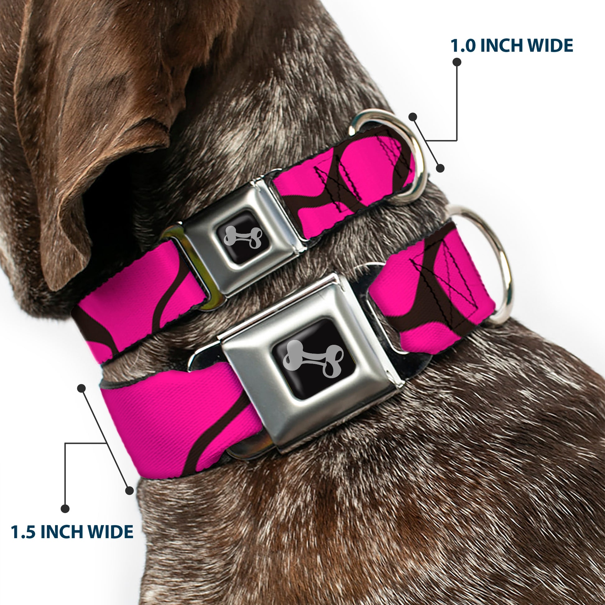 Dog Bone Seatbelt Buckle Collar - Giraffe Spots Black/Fuchsia Seatbelt Buckle Collars Buckle-Down