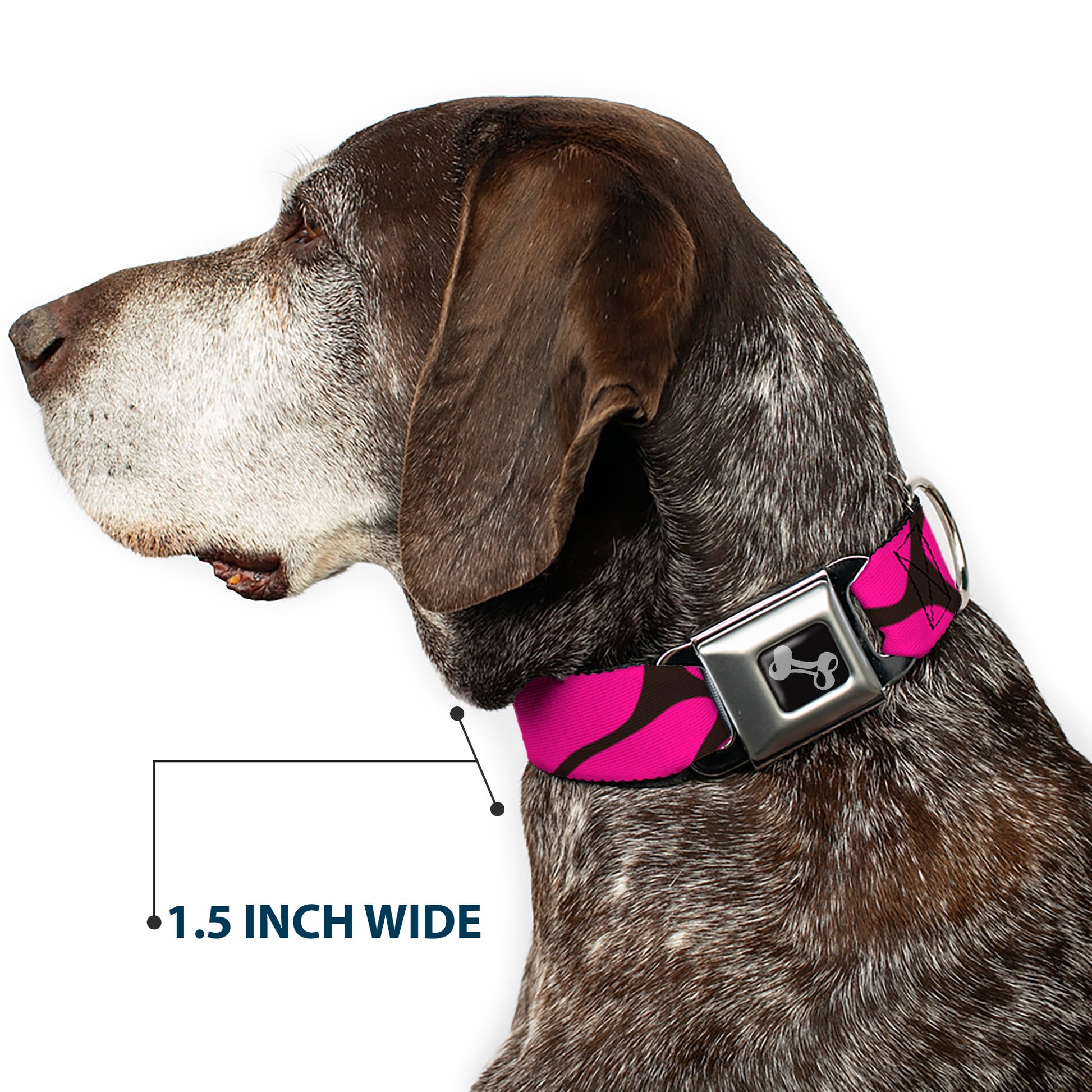 Dog Bone Seatbelt Buckle Collar - Giraffe Spots Black/Fuchsia Seatbelt Buckle Collars Buckle-Down