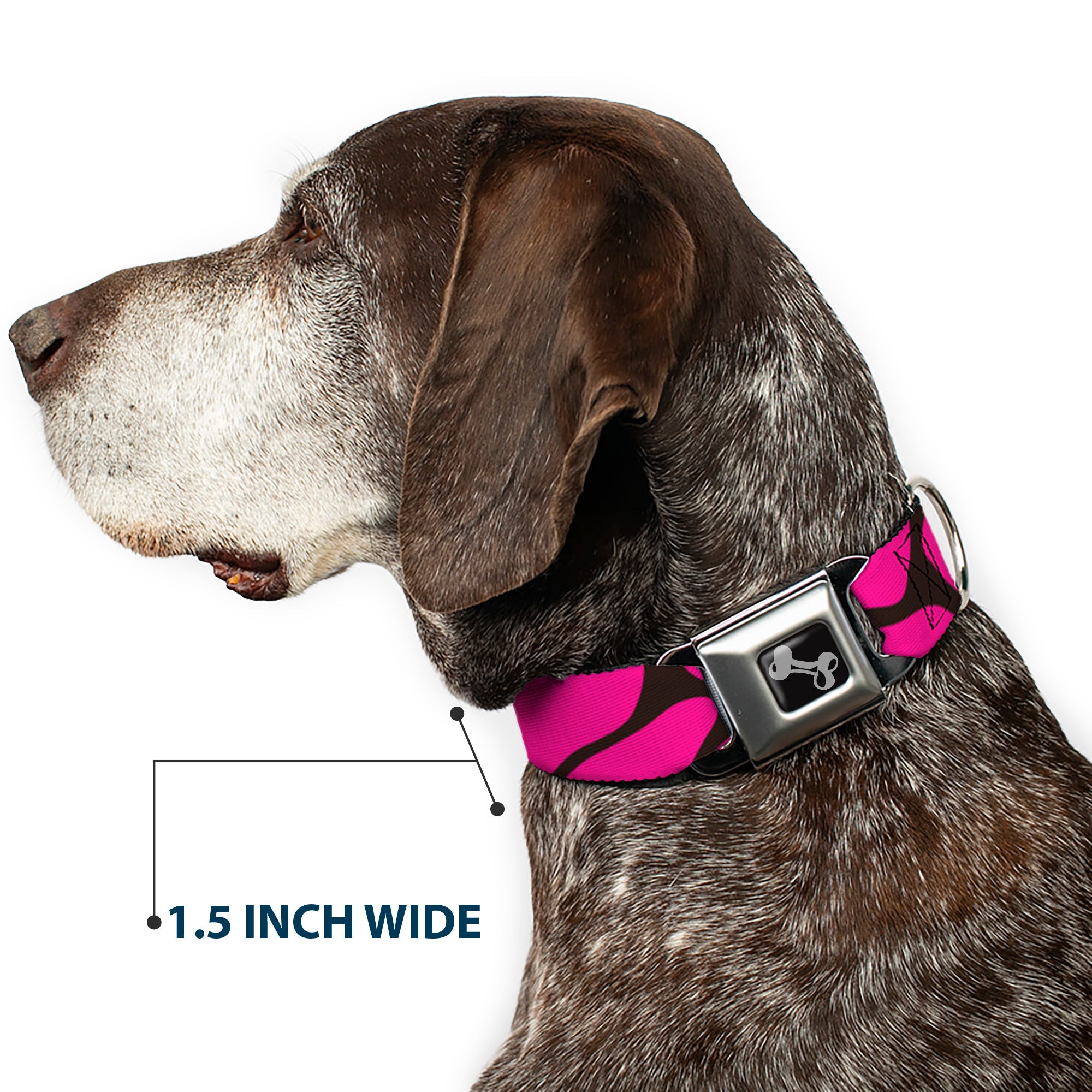 Dog Bone Seatbelt Buckle Collar - Giraffe Spots Black/Fuchsia Seatbelt Buckle Collars Buckle-Down