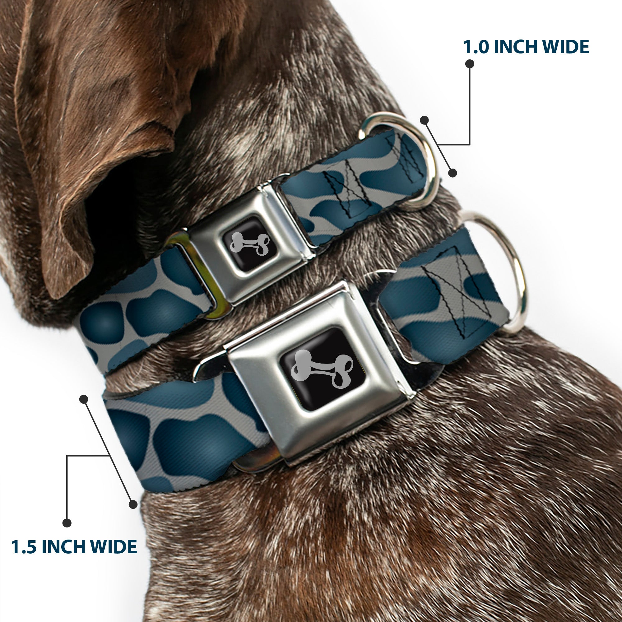 Dog Bone Seatbelt Buckle Collar - Giraffe Spots Gray/Charcoal Seatbelt Buckle Collars Buckle-Down