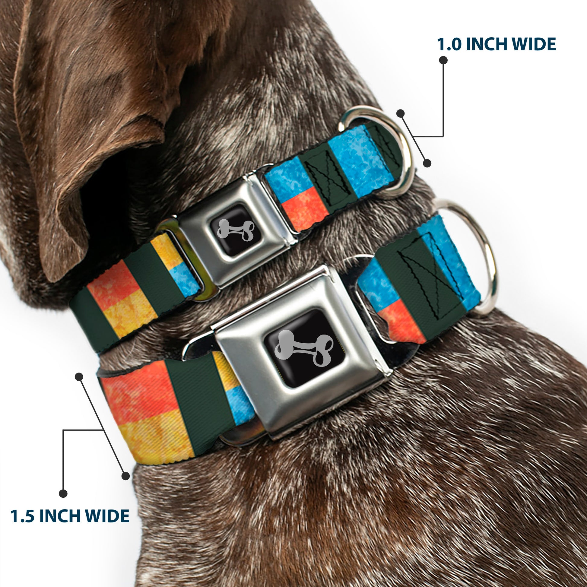 Dog Bone Seatbelt Buckle Collar - Geometric8 Charcoal/Orange/Gold/Blue Seatbelt Buckle Collars Buckle-Down