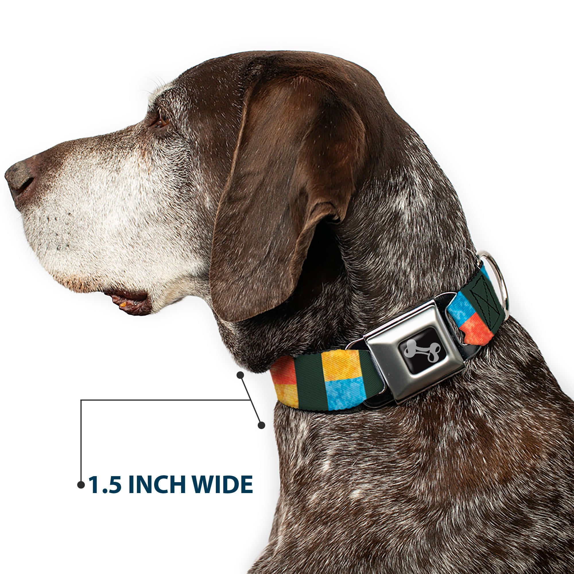 Dog Bone Seatbelt Buckle Collar - Geometric8 Charcoal/Orange/Gold/Blue Seatbelt Buckle Collars Buckle-Down
