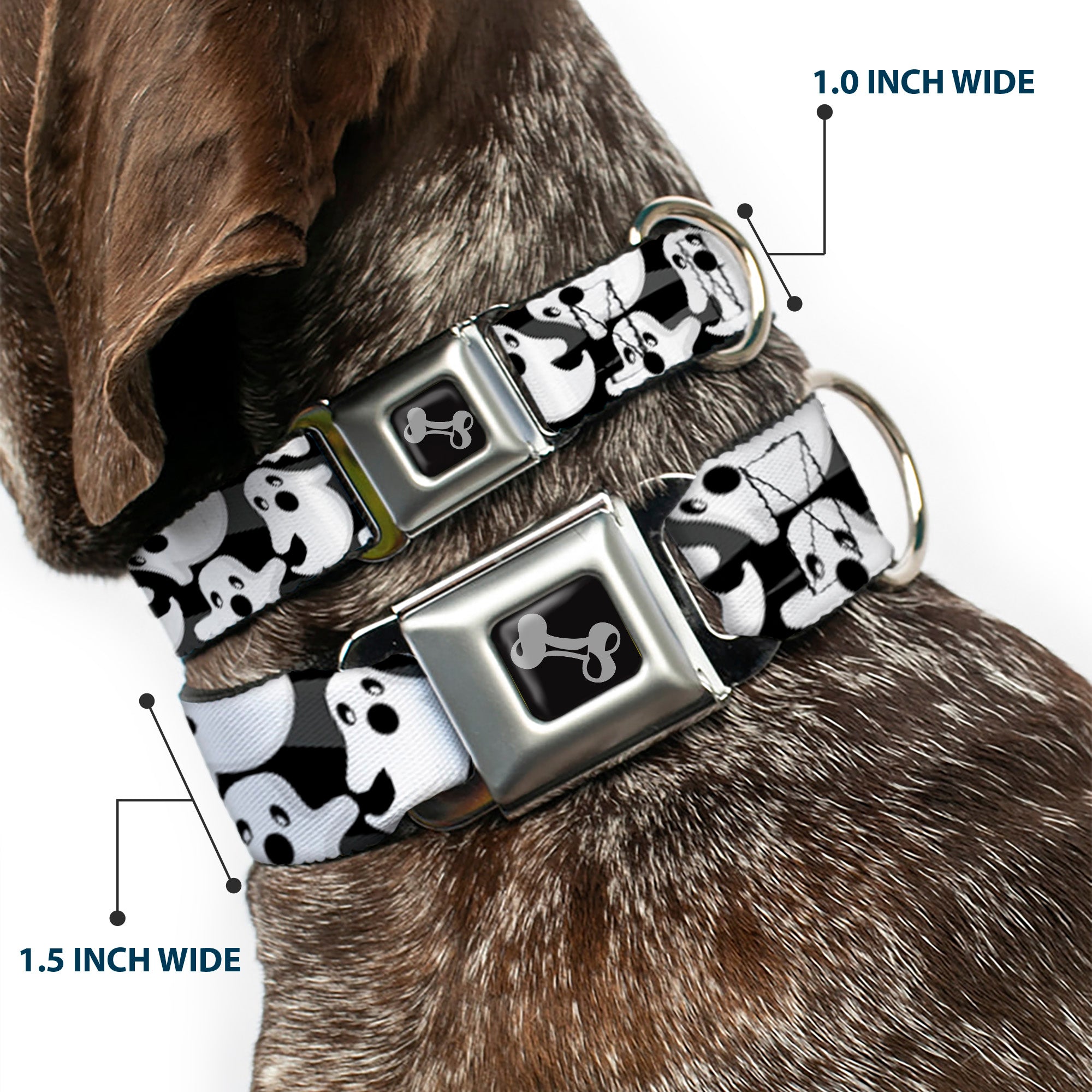 Dog Bone Seatbelt Buckle Collar - Ghosts Scattered Black/White Seatbelt Buckle Collars Buckle-Down
