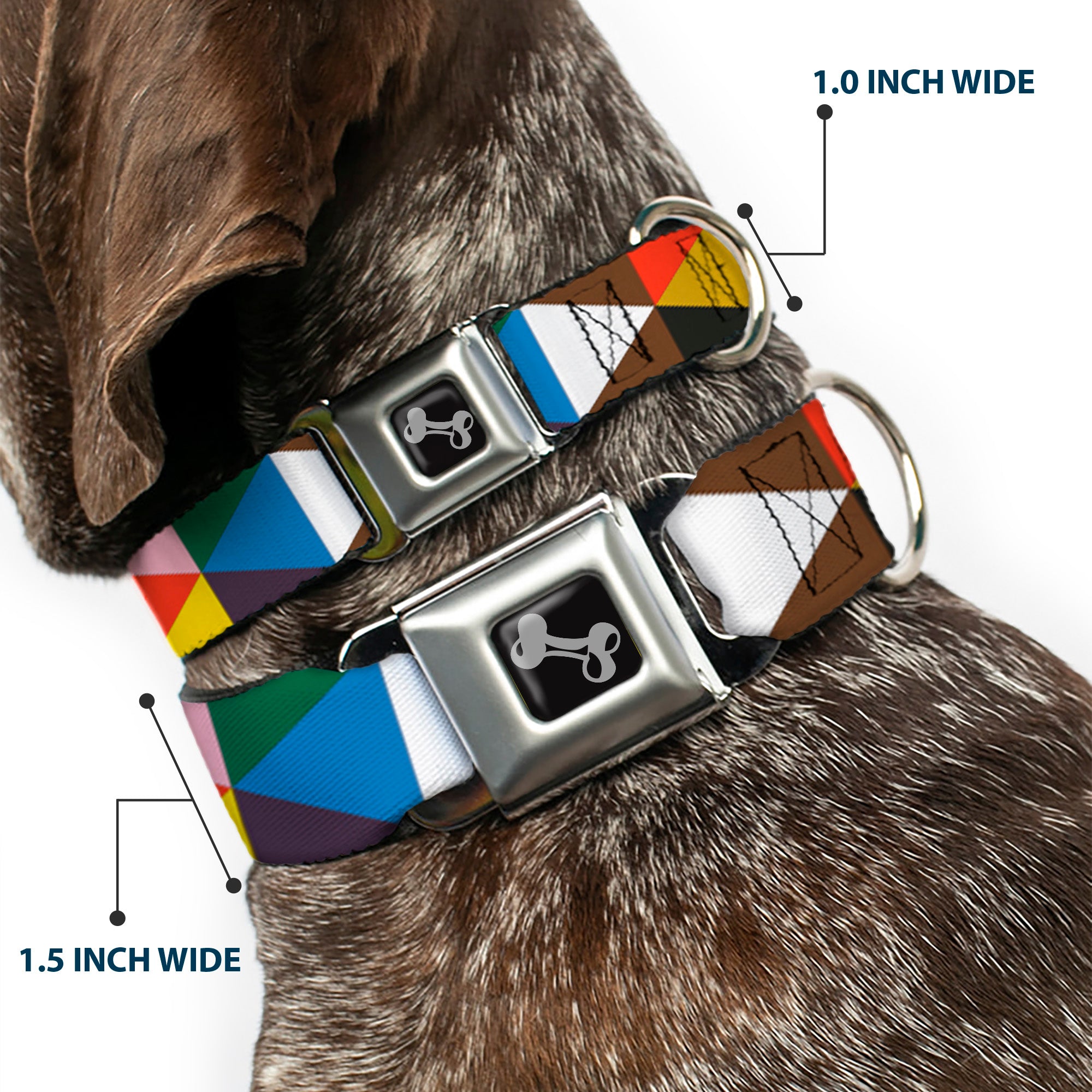 Dog Bone Seatbelt Buckle Collar - Geometric Triangle Blocks Multi Color Seatbelt Buckle Collars Buckle-Down