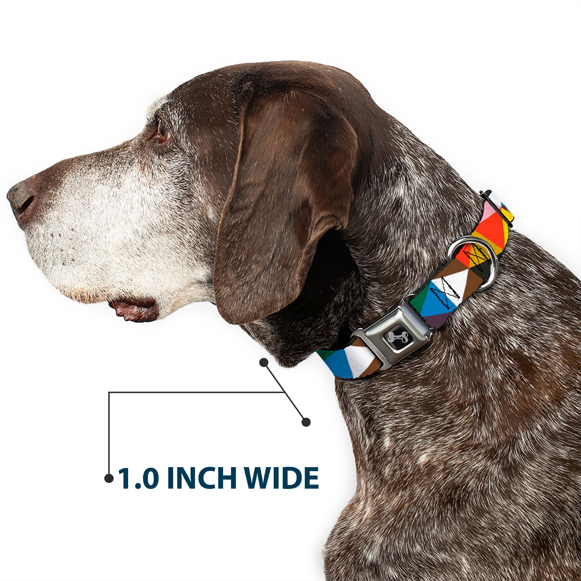 Dog Bone Seatbelt Buckle Collar - Geometric Triangle Blocks Multi Color Seatbelt Buckle Collars Buckle-Down