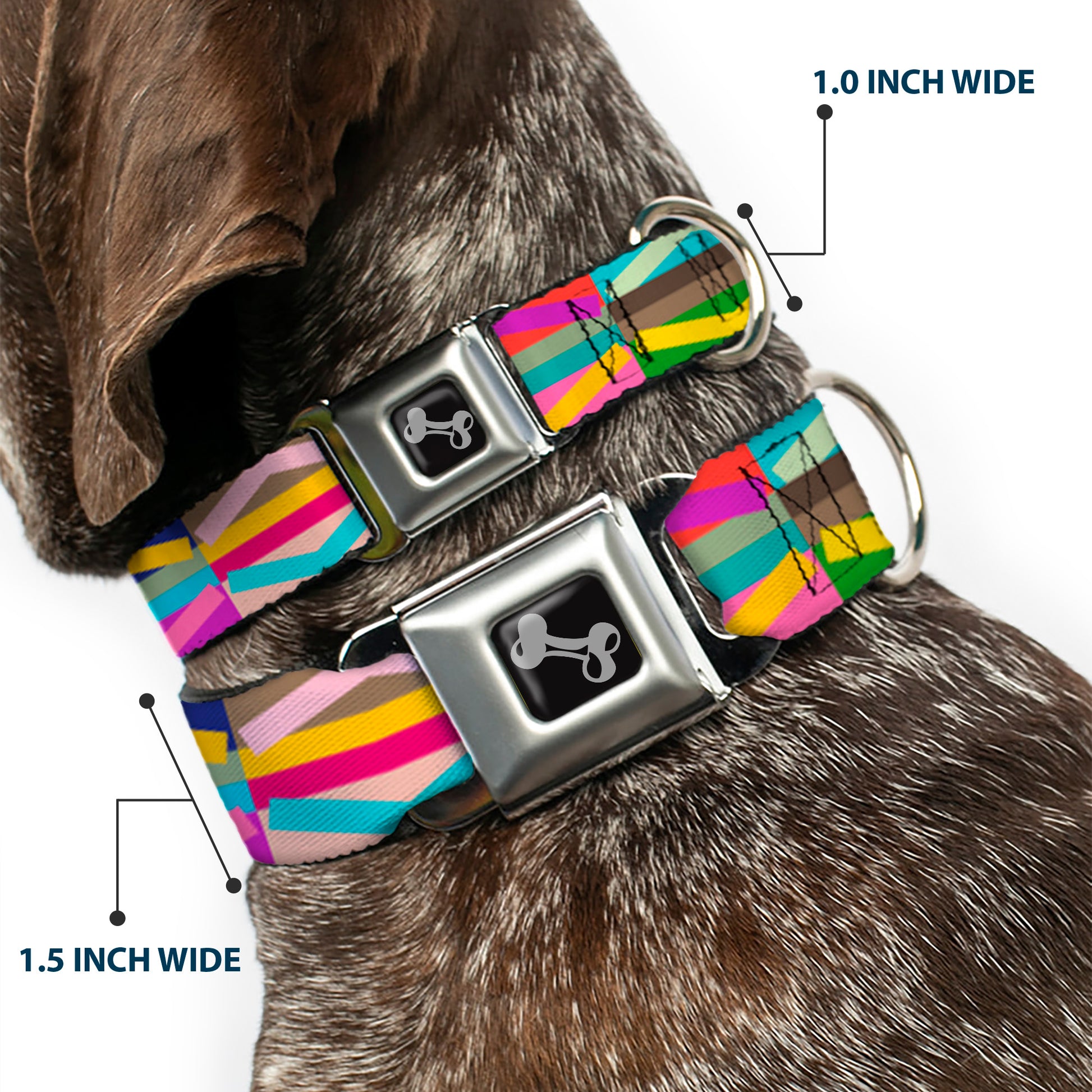 Dog Bone Seatbelt Buckle Collar - Geometric10 Multi Color Seatbelt Buckle Collars Buckle-Down