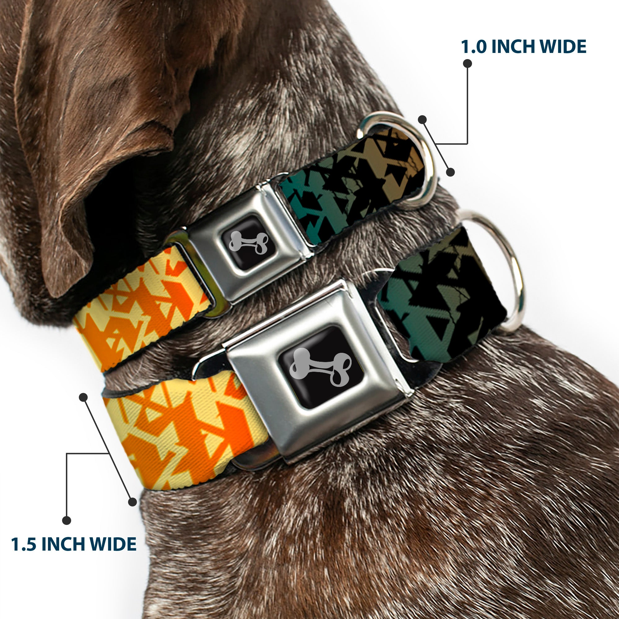 Dog Bone Seatbelt Buckle Collar - Geometric Transition Blues/Reds/Orange/Yellows Seatbelt Buckle Collars Buckle-Down