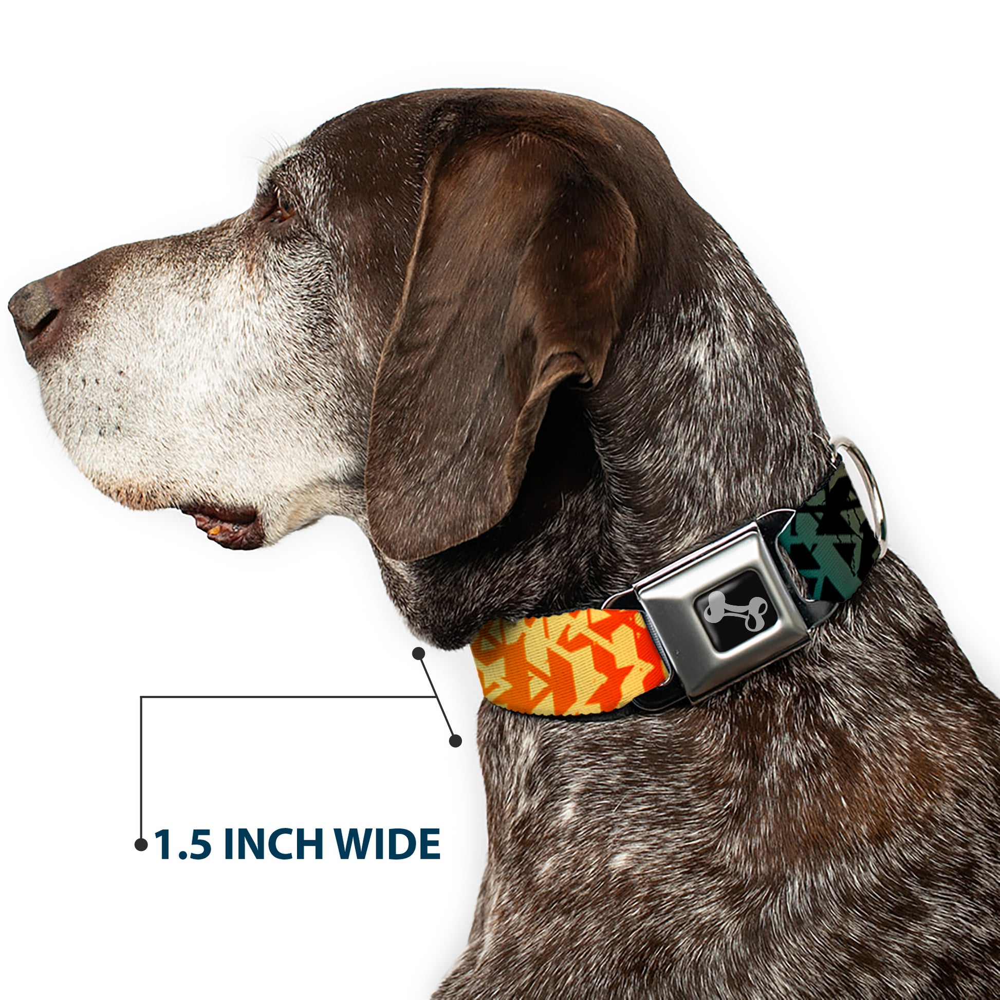 Dog Bone Seatbelt Buckle Collar - Geometric Transition Blues/Reds/Orange/Yellows Seatbelt Buckle Collars Buckle-Down