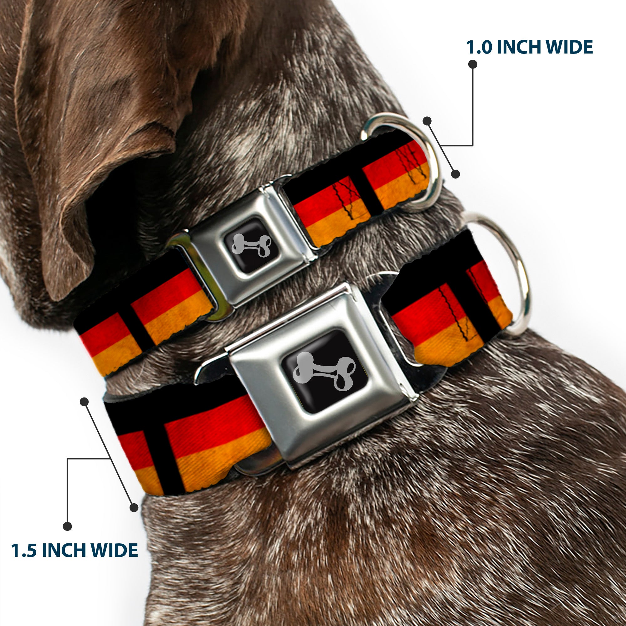 Dog Bone Seatbelt Buckle Collar - German Flag Distressed Seatbelt Buckle Collars Buckle-Down