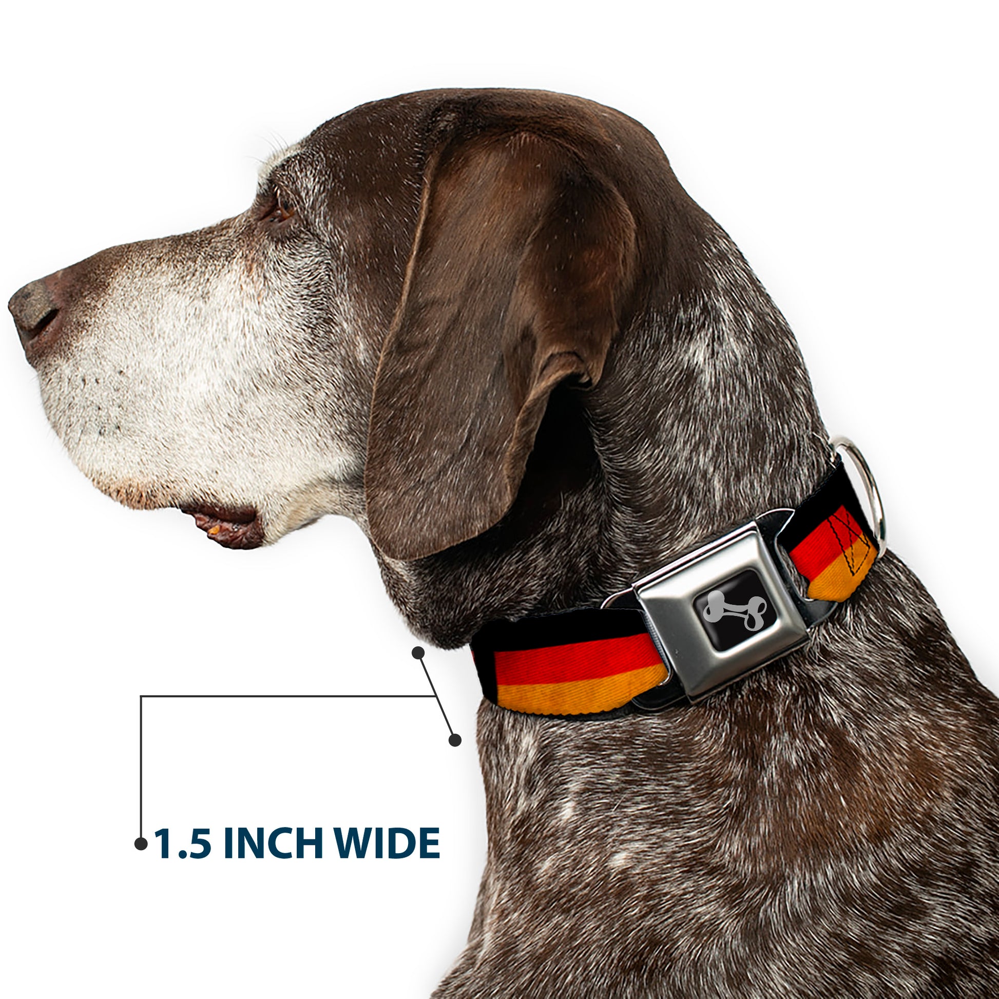 Dog Bone Seatbelt Buckle Collar - German Flag Distressed Seatbelt Buckle Collars Buckle-Down