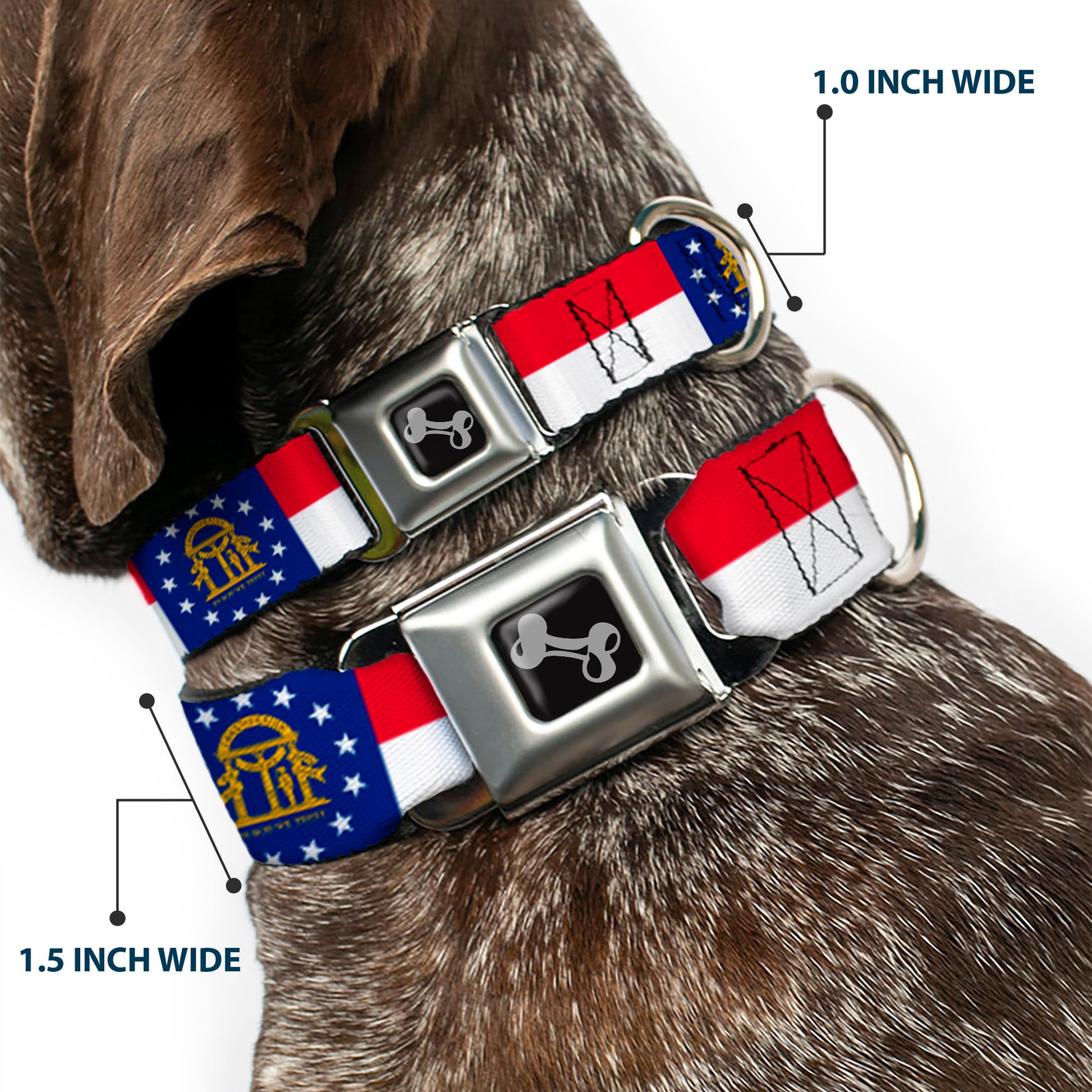 Dog Bone Seatbelt Buckle Collar - Georgia Flag Seatbelt Buckle Collars Buckle-Down