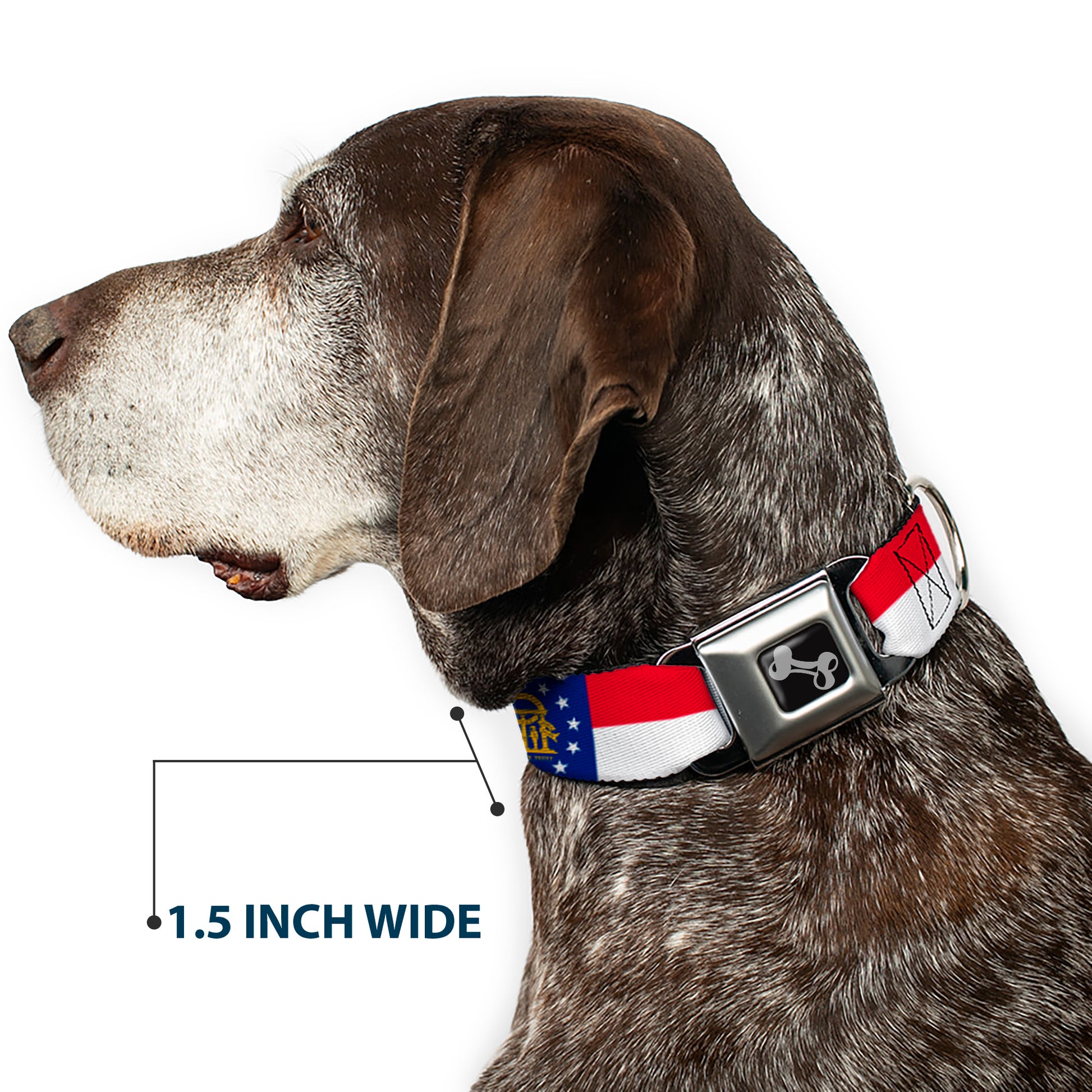 Dog Bone Seatbelt Buckle Collar - Georgia Flag Seatbelt Buckle Collars Buckle-Down