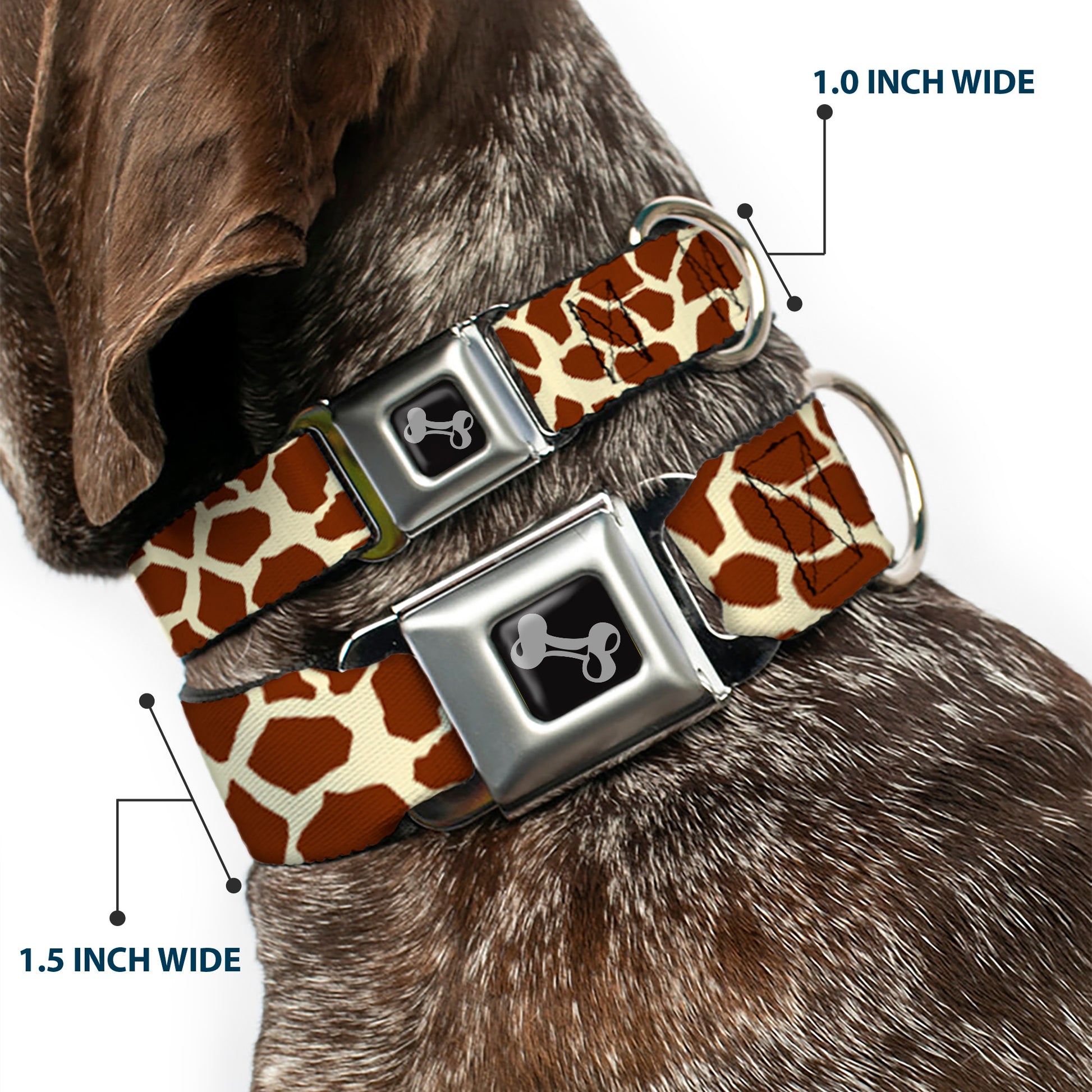 Dog Bone Seatbelt Buckle Collar - Giraffe Spots2 Cream/Brown Seatbelt Buckle Collars Buckle-Down