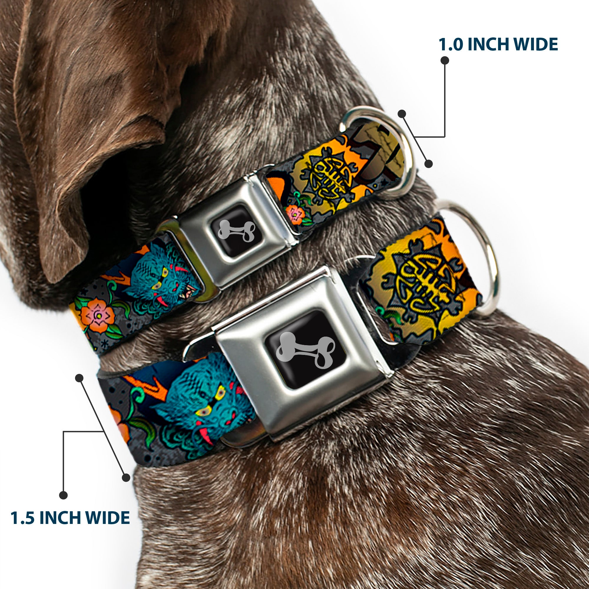 Dog Bone Seatbelt Buckle Collar - Honor Gray Seatbelt Buckle Collars Buckle-Down