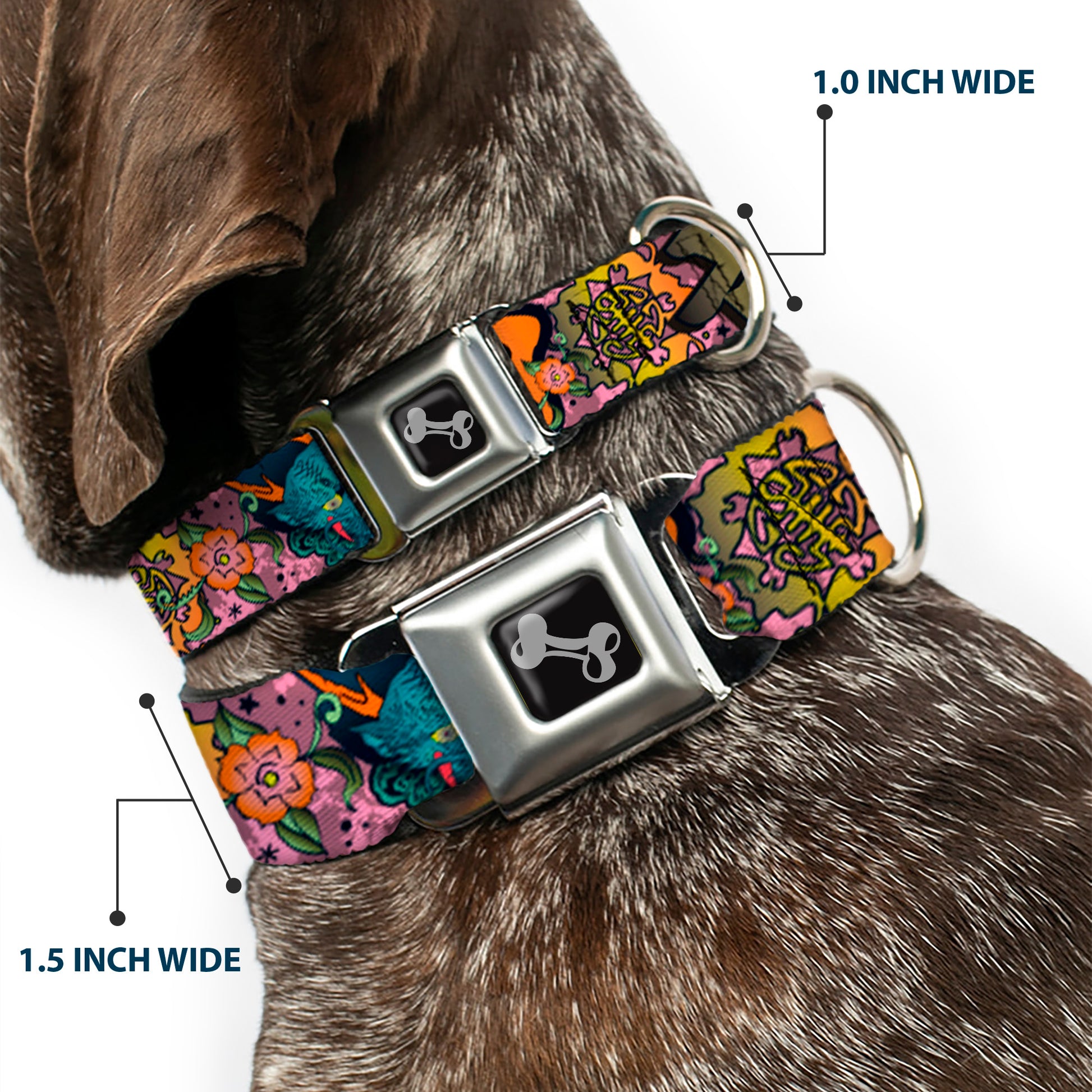 Dog Bone Seatbelt Buckle Collar - Honor Pink Seatbelt Buckle Collars Buckle-Down