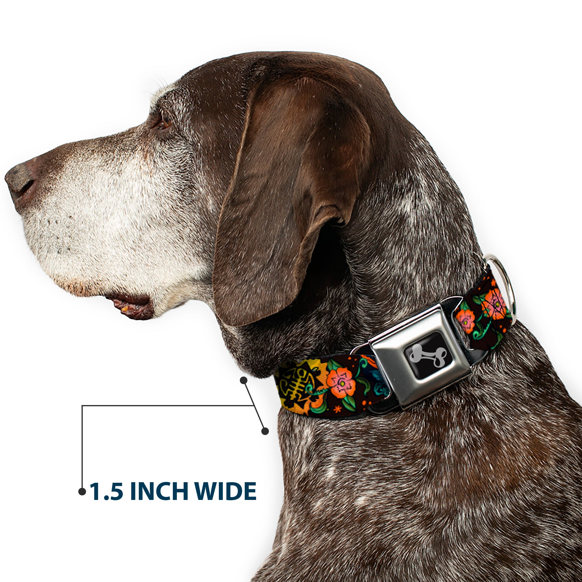 Dog Bone Seatbelt Buckle Collar - Honor CLOSE-UP Black Seatbelt Buckle Collars Buckle-Down