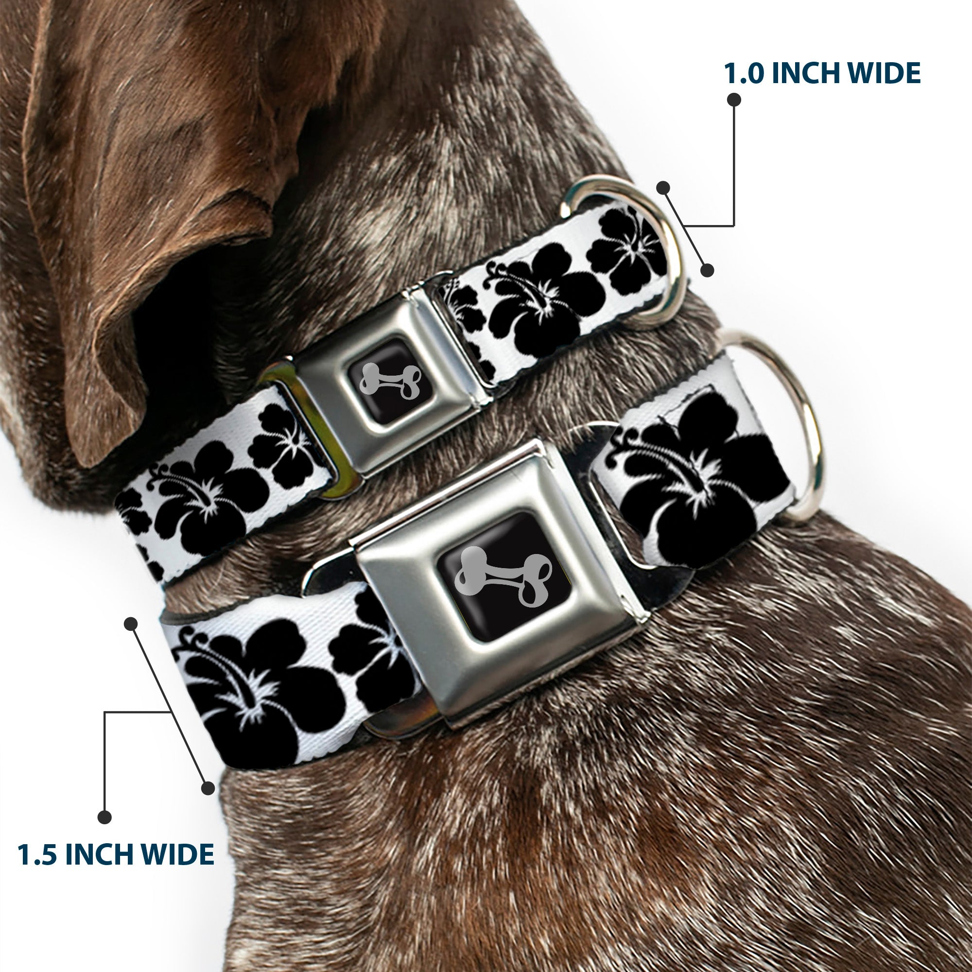 Dog Bone Seatbelt Buckle Collar - Hibiscus White/Black Seatbelt Buckle Collars Buckle-Down