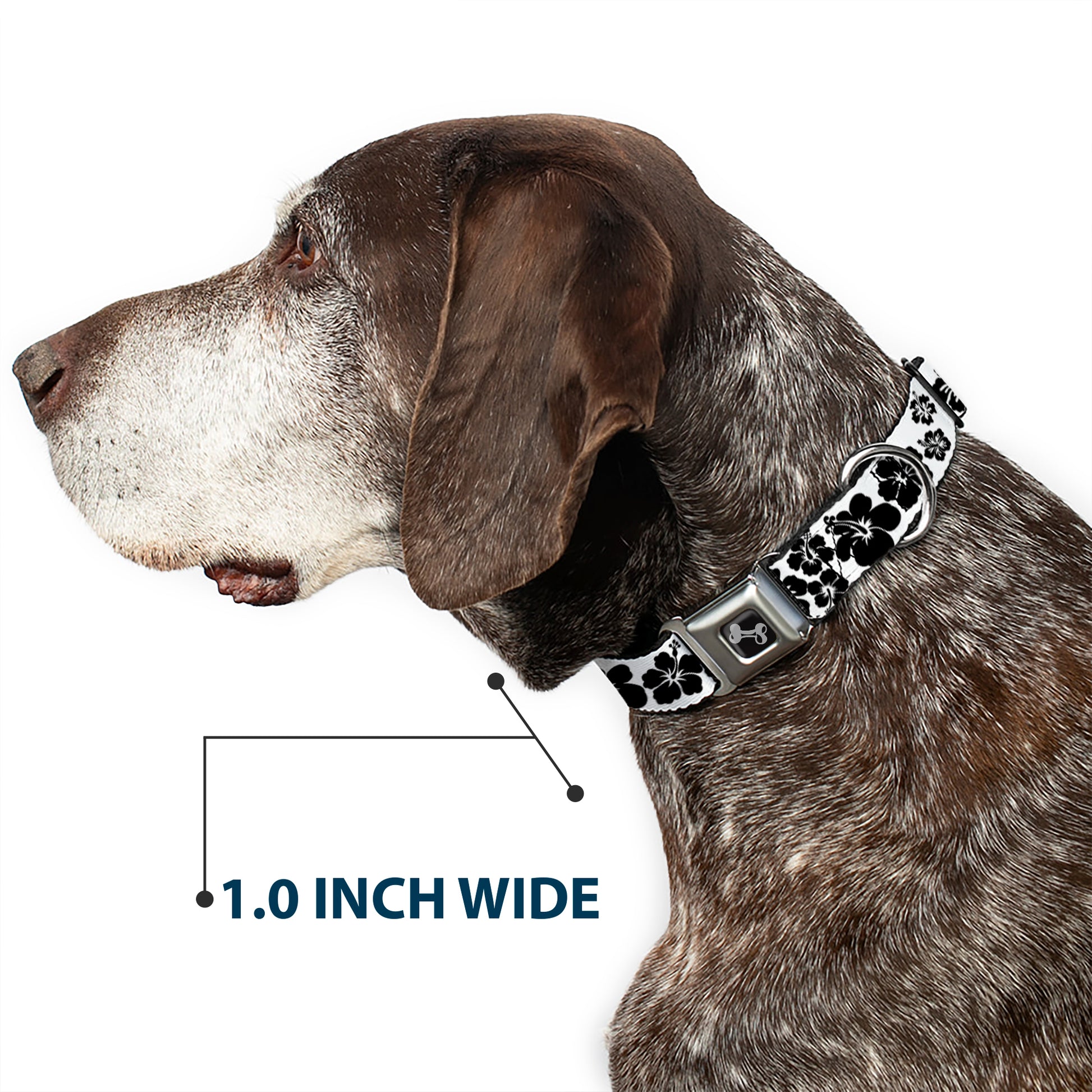 Dog Bone Seatbelt Buckle Collar - Hibiscus White/Black Seatbelt Buckle Collars Buckle-Down