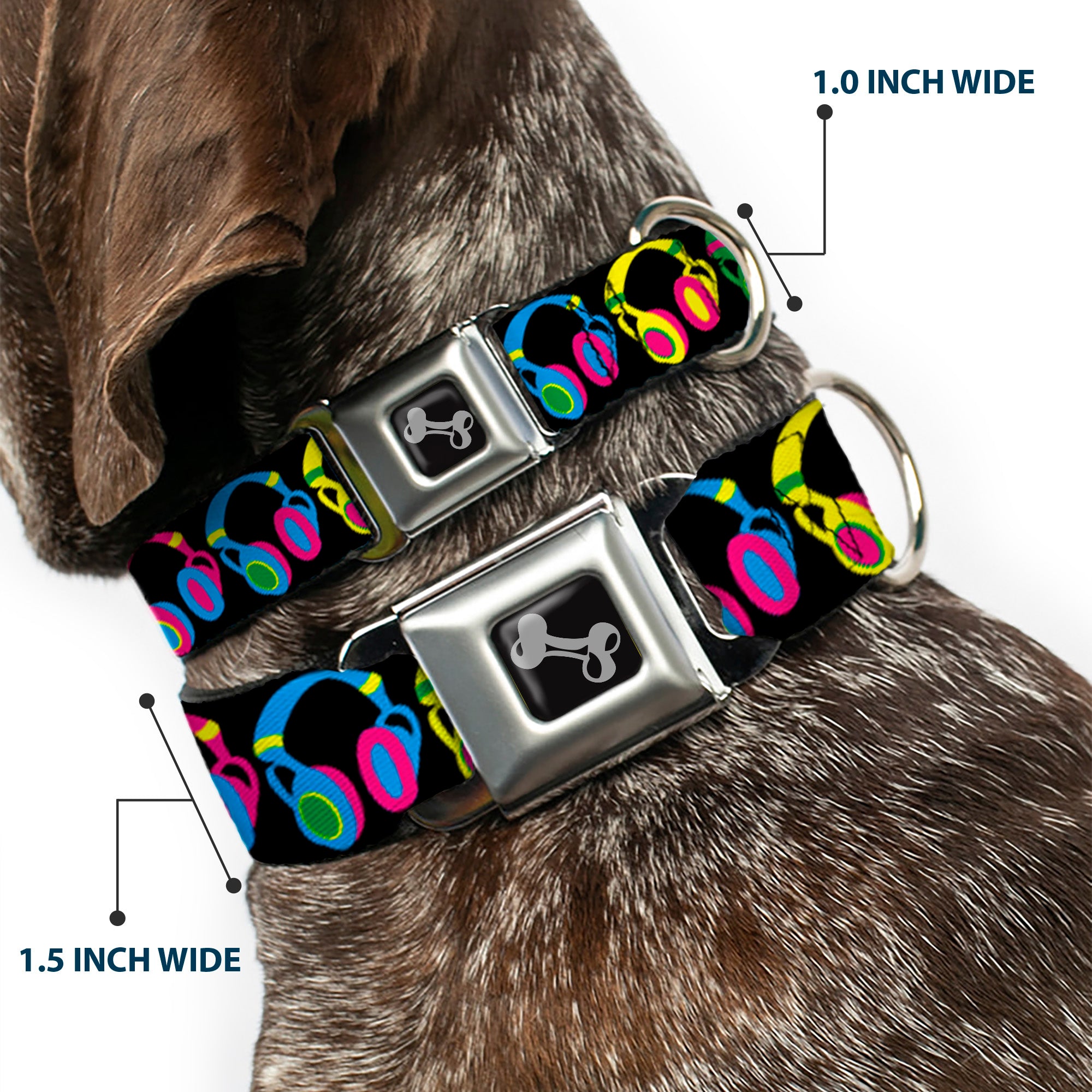 Dog Bone Seatbelt Buckle Collar - Headphones Black/Neon Seatbelt Buckle Collars Buckle-Down