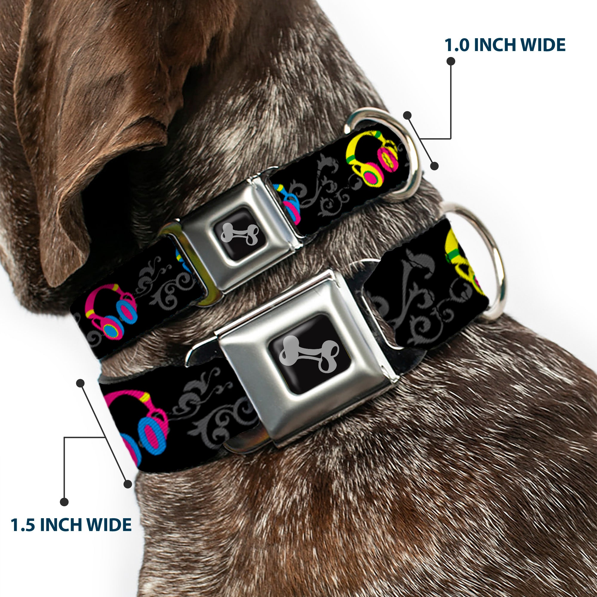 Dog Bone Seatbelt Buckle Collar - Headphones Curls Black/Gray/Neon Seatbelt Buckle Collars Buckle-Down