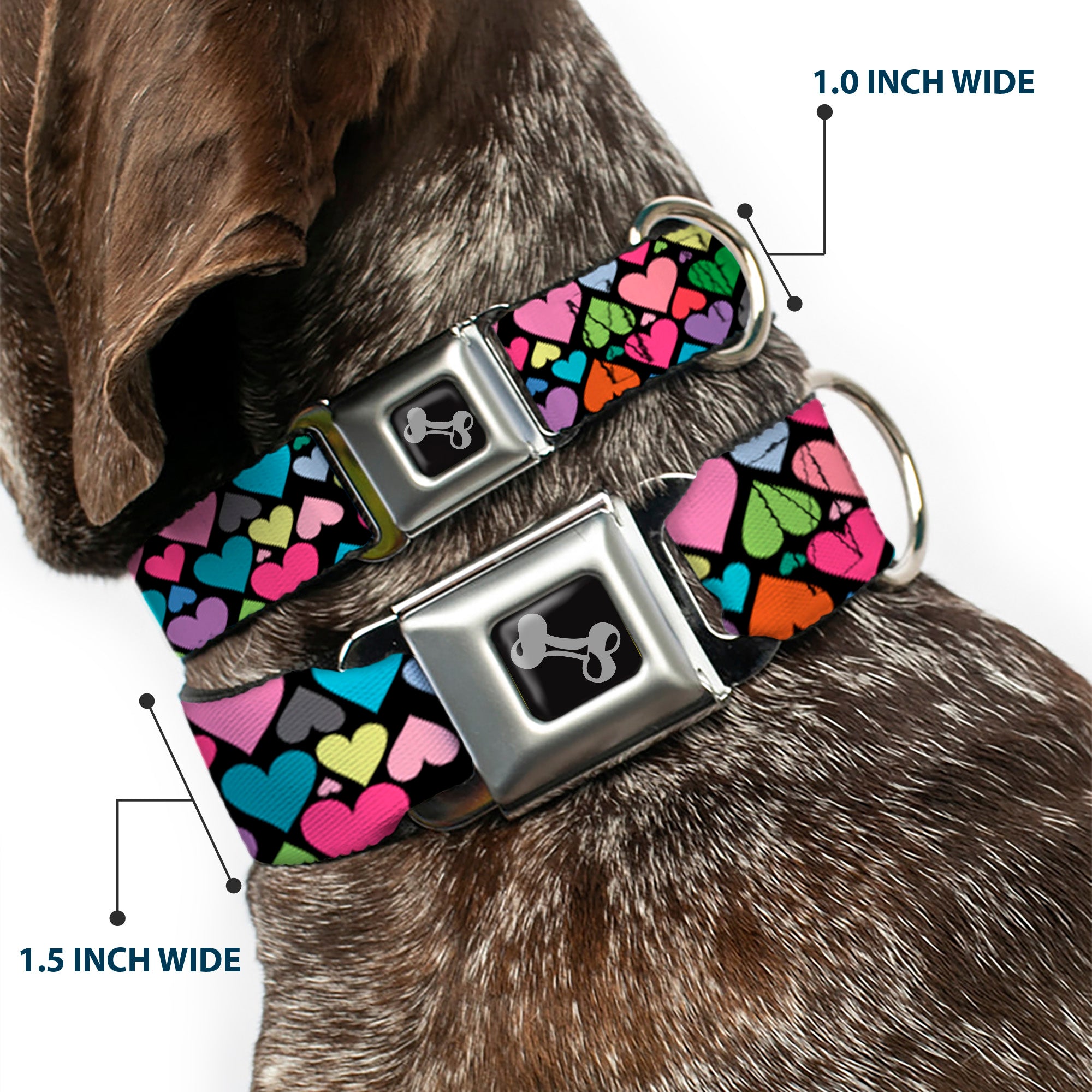 Dog Bone Seatbelt Buckle Collar - Hearts Black/Multi Color Seatbelt Buckle Collars Buckle-Down
