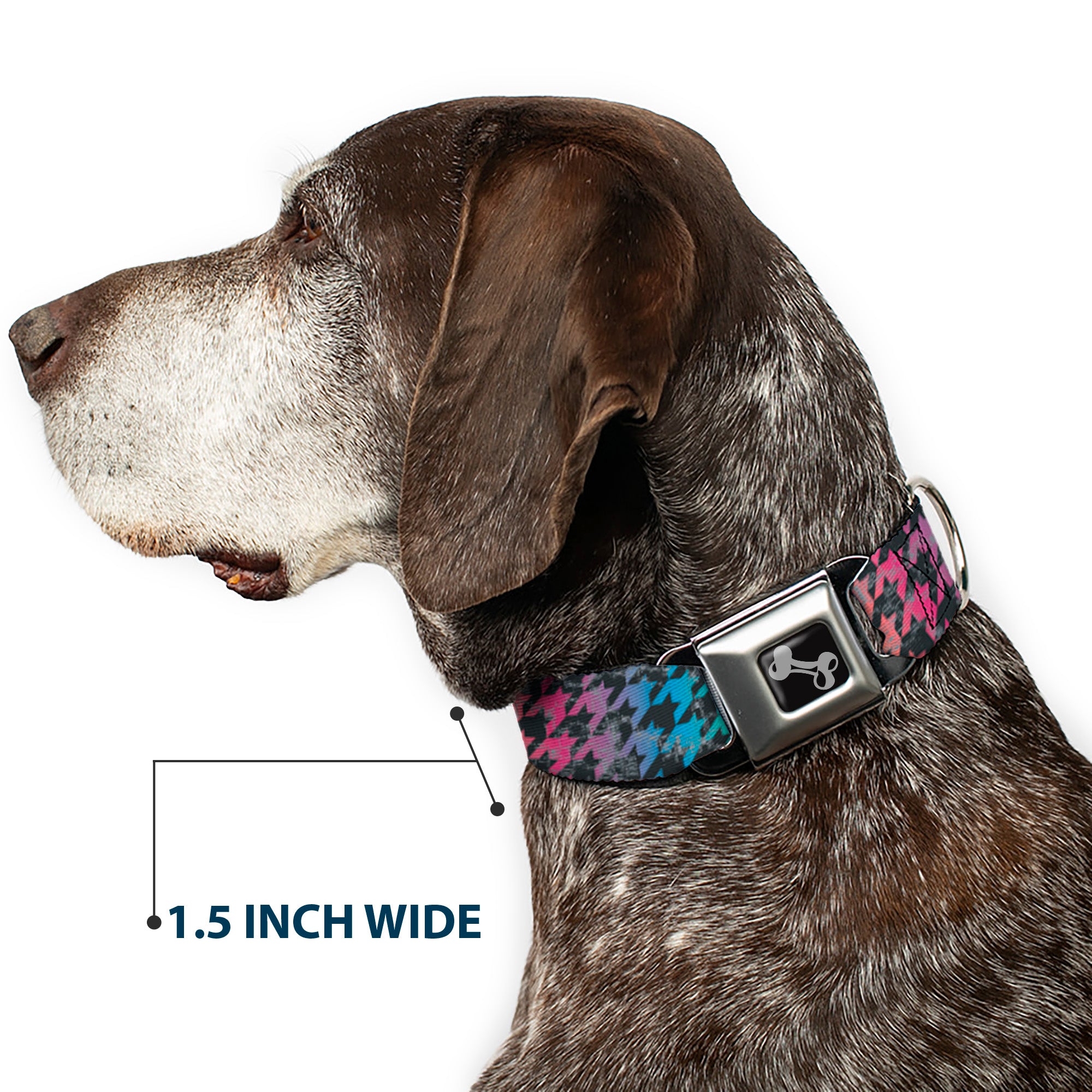Dog Bone Seatbelt Buckle Collar - Houndstooth Black/Rainbow Seatbelt Buckle Collars Buckle-Down