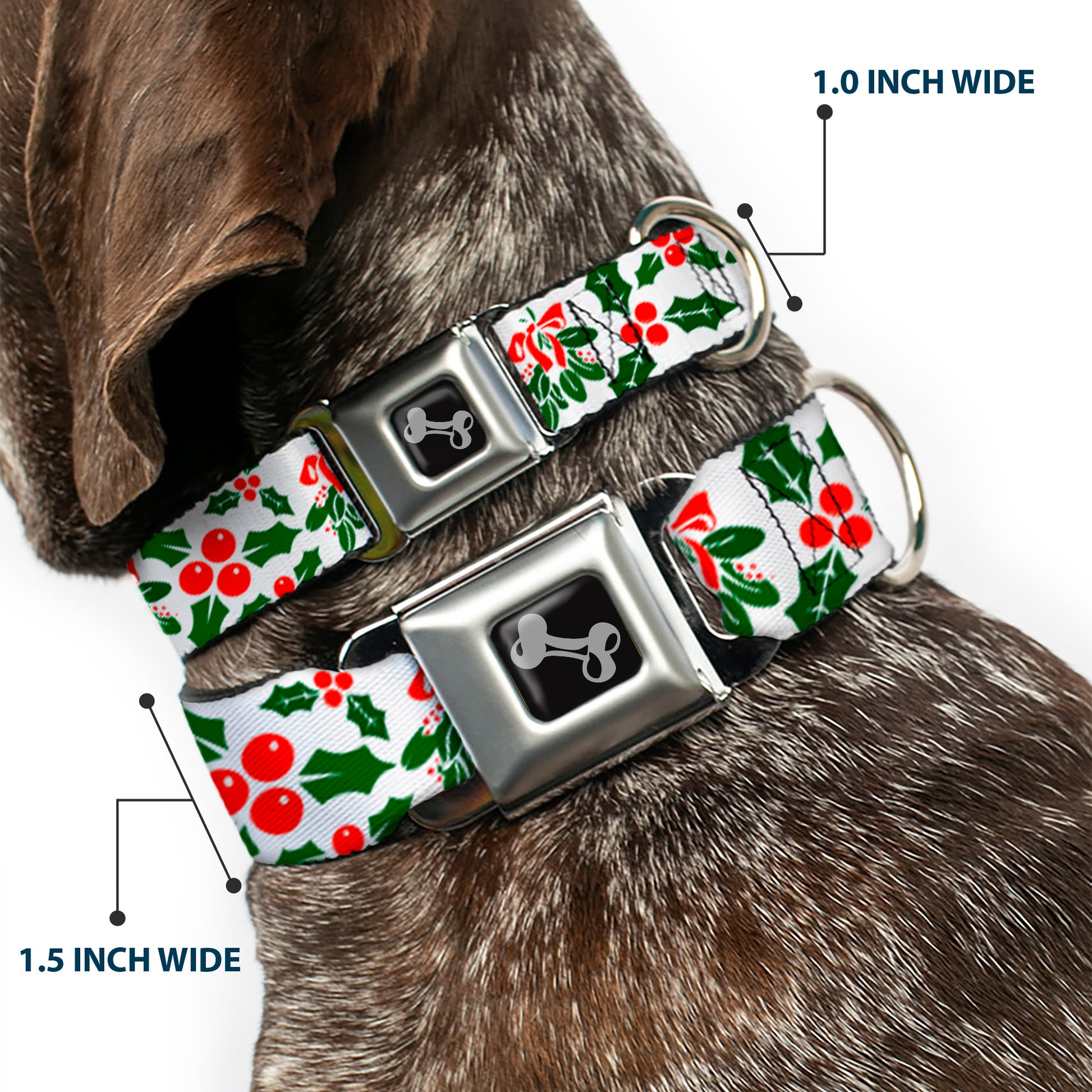 Dog Bone Seatbelt Buckle Collar - Holly & Mistletoe Seatbelt Buckle Collars Buckle-Down
