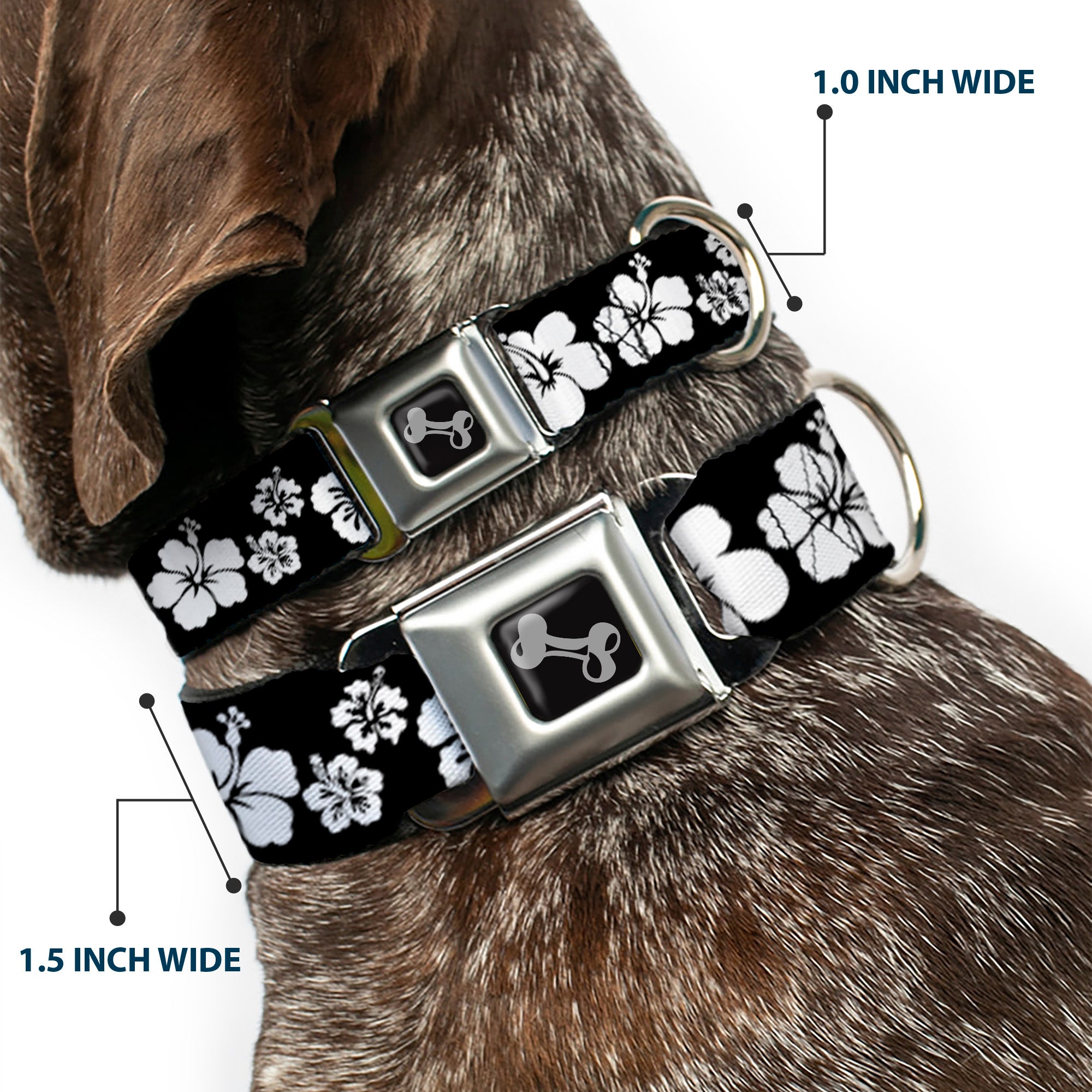 Dog Bone Seatbelt Buckle Collar - Hibiscus Black/White Seatbelt Buckle Collars Buckle-Down