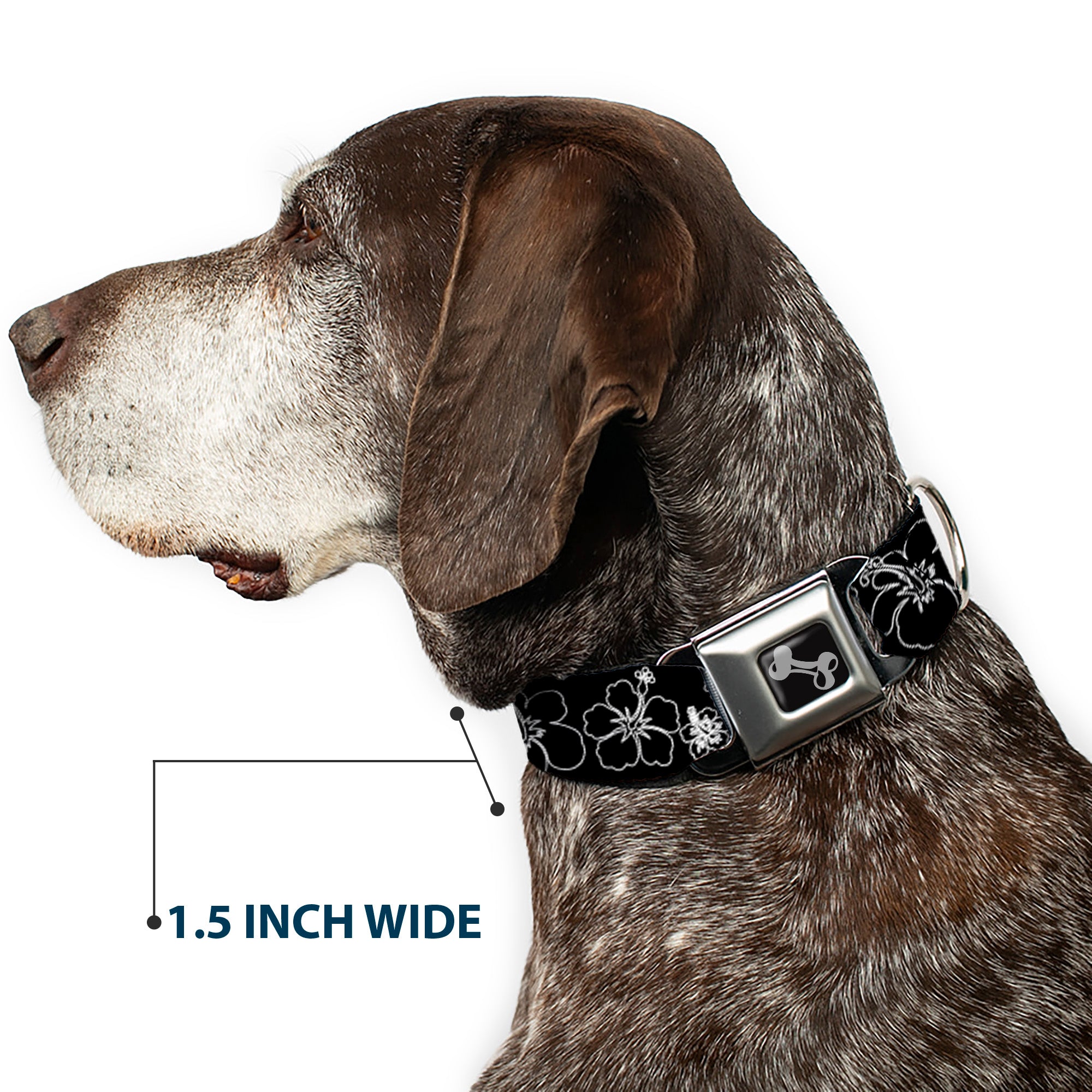 Dog Bone Seatbelt Buckle Collar - Hibiscus Outline Black/White Seatbelt Buckle Collars Buckle-Down