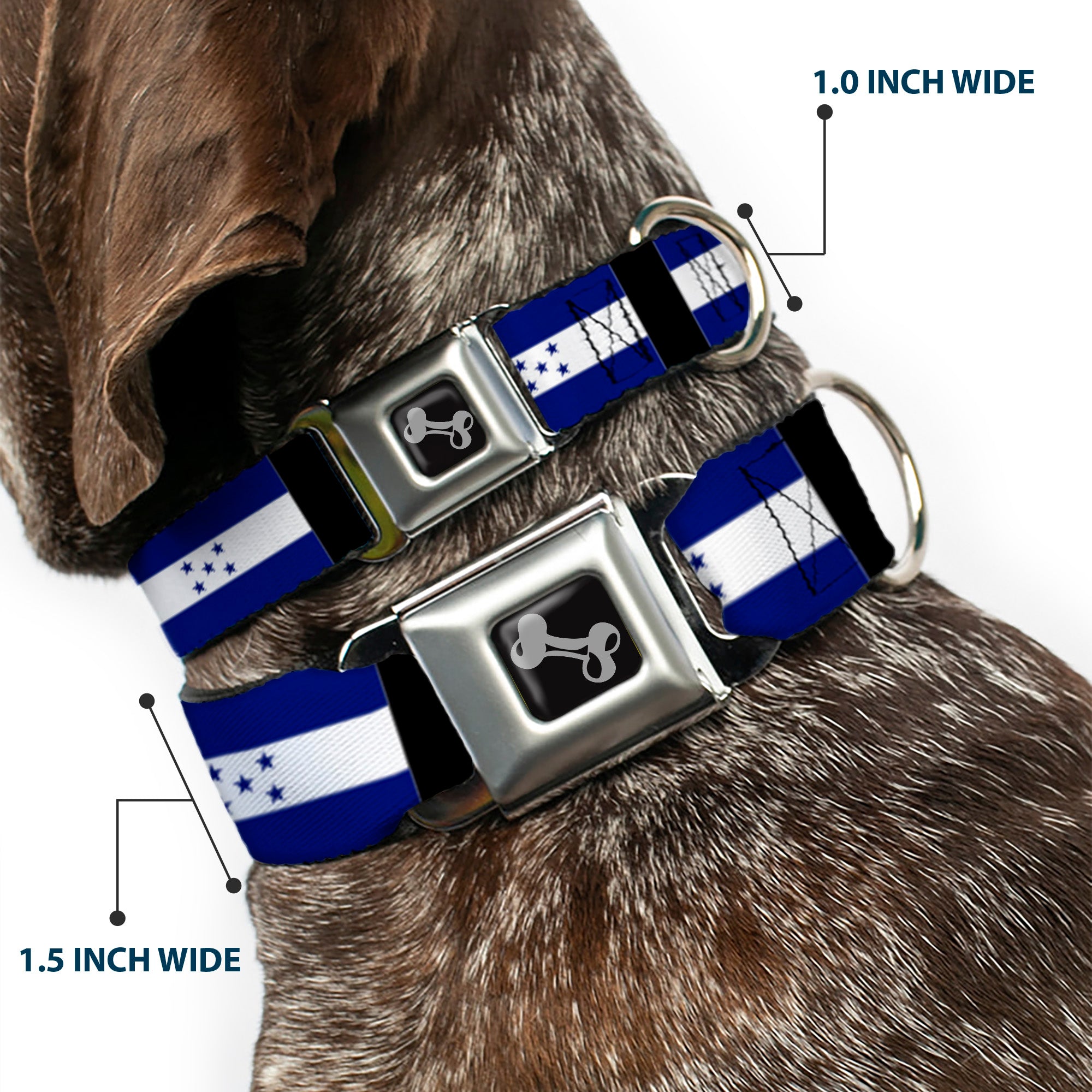 Dog Bone Seatbelt Buckle Collar - Honduras Flags Seatbelt Buckle Collars Buckle-Down