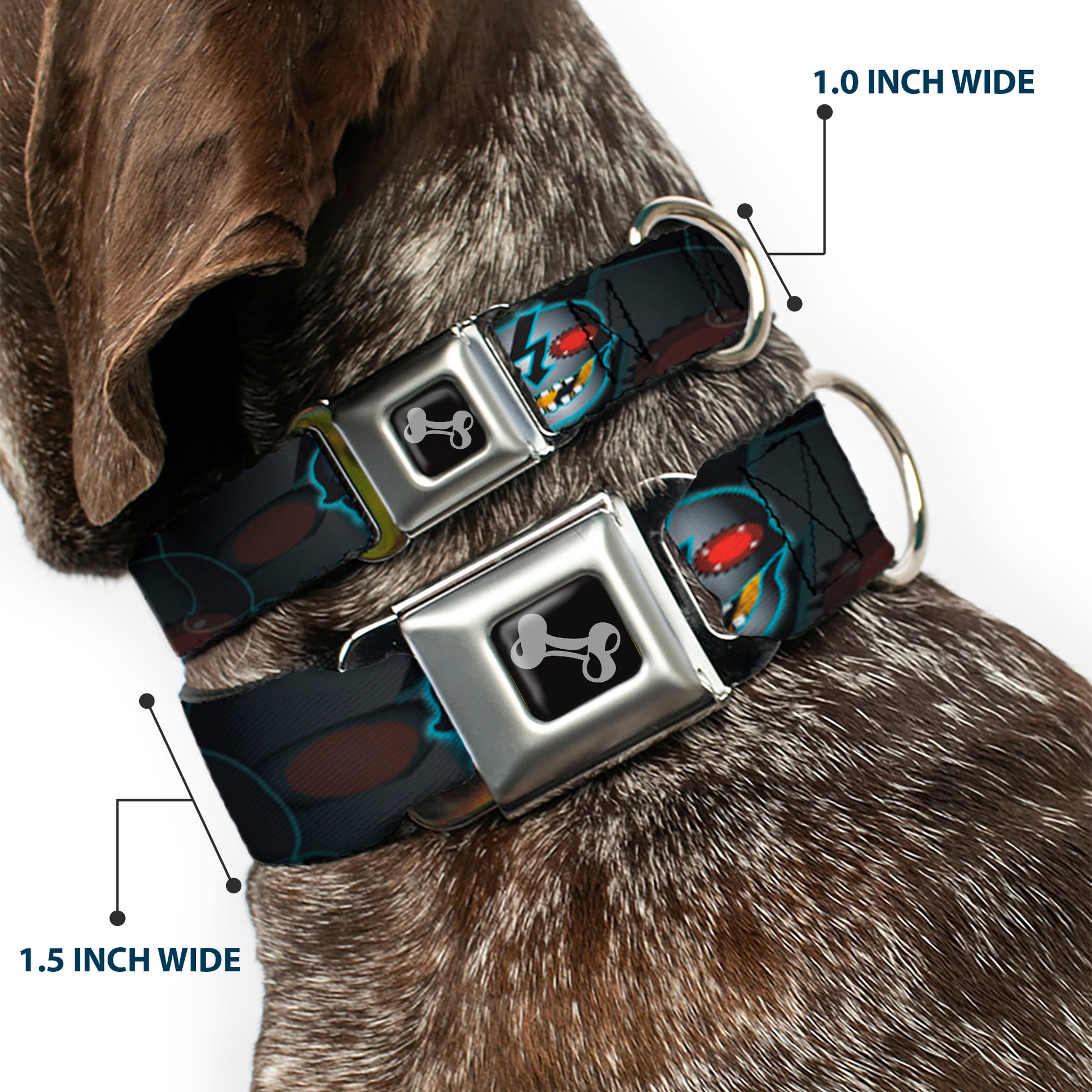 Dog Bone Seatbelt Buckle Collar - High Voltage Skull Seatbelt Buckle Collars Buckle-Down