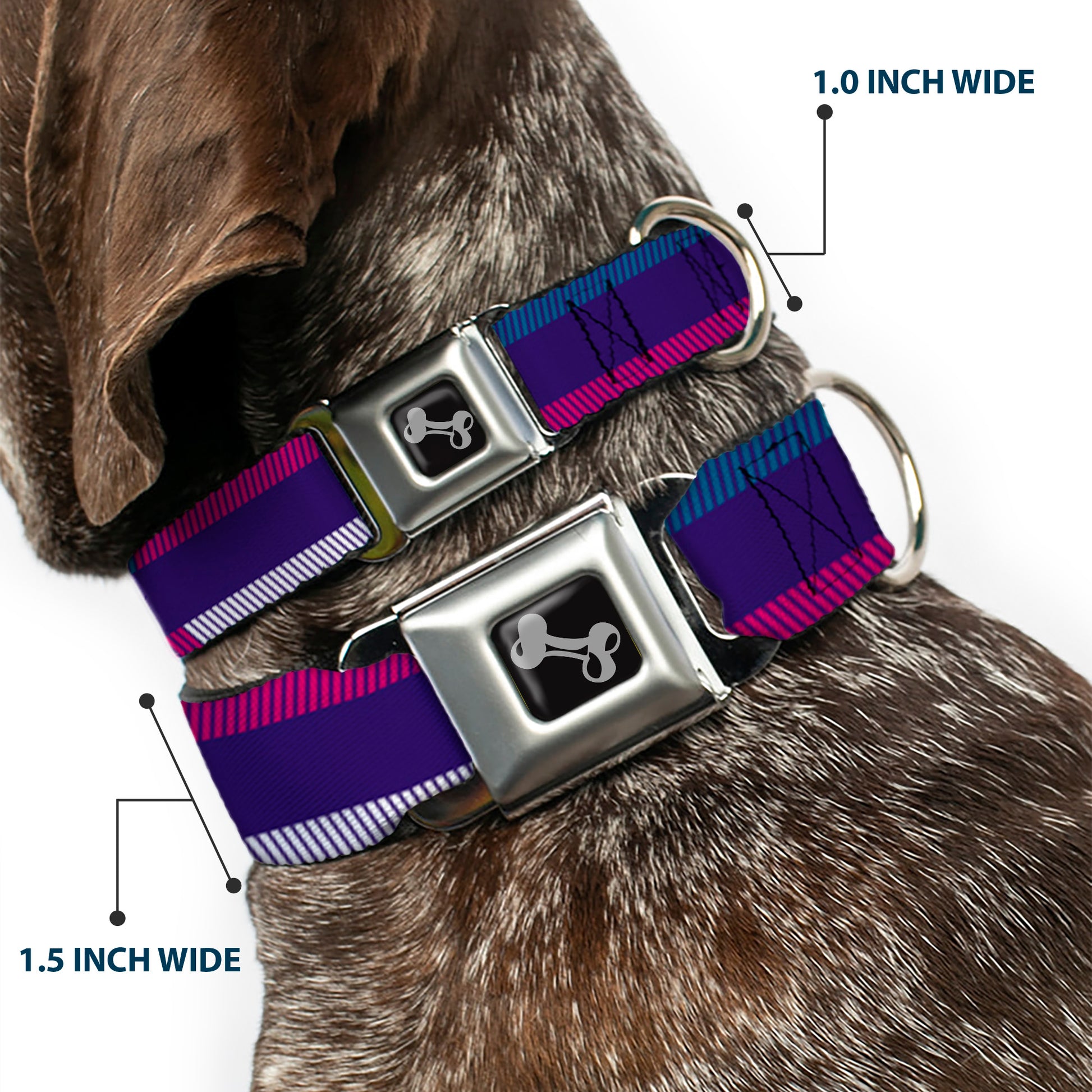 Dog Bone Seatbelt Buckle Collar - Hash Mark Stripe Navy/Turquoise/Fuchsia/White Seatbelt Buckle Collars Buckle-Down