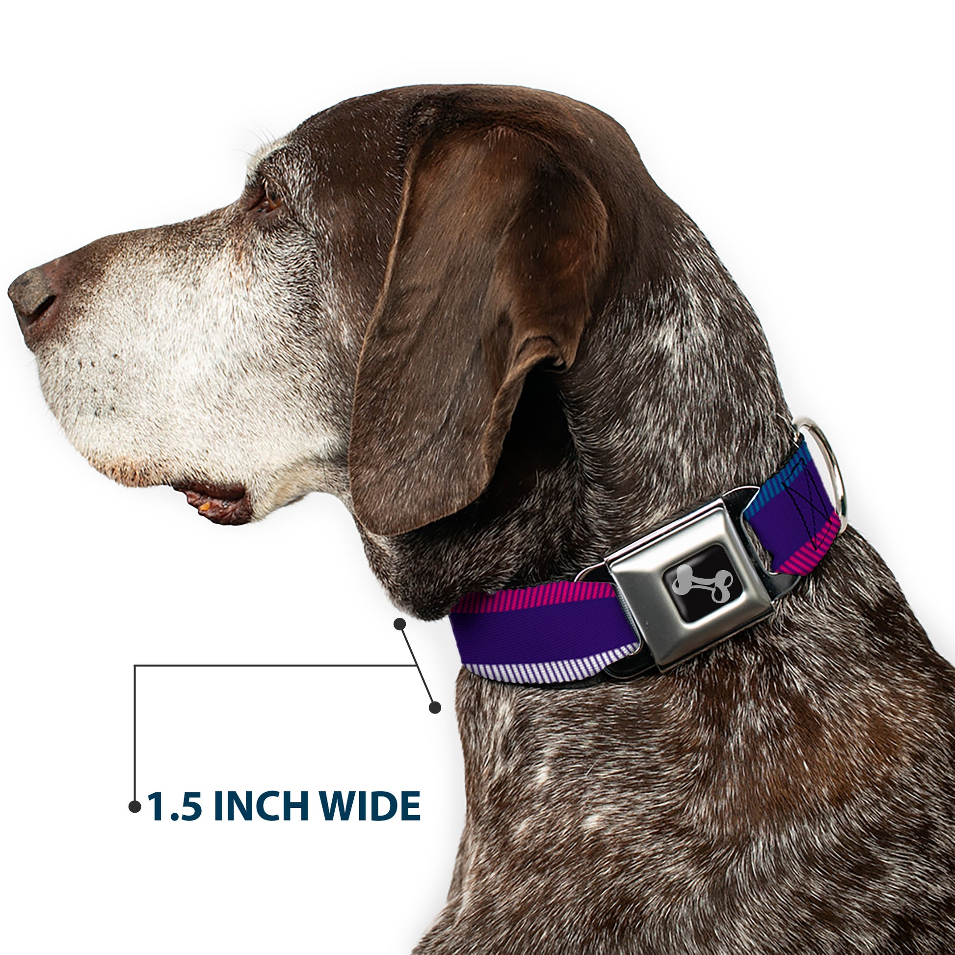 Dog Bone Seatbelt Buckle Collar - Hash Mark Stripe Navy/Turquoise/Fuchsia/White Seatbelt Buckle Collars Buckle-Down