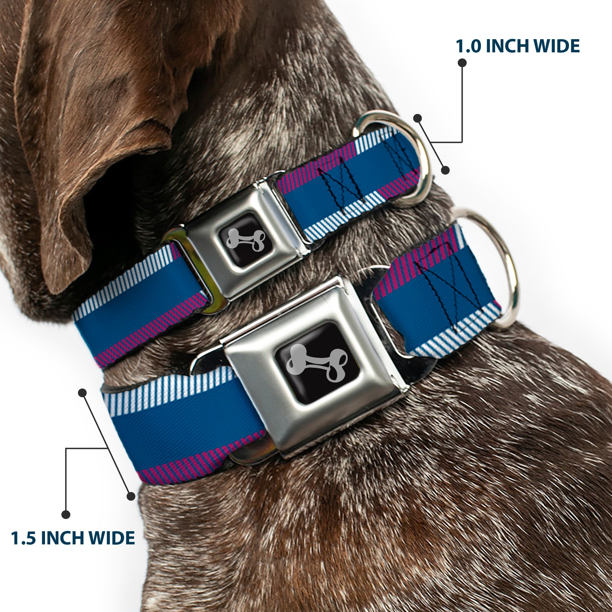 Dog Bone Seatbelt Buckle Collar - Hash Mark Stripe Turquoise/Fuchsia/White Seatbelt Buckle Collars Buckle-Down