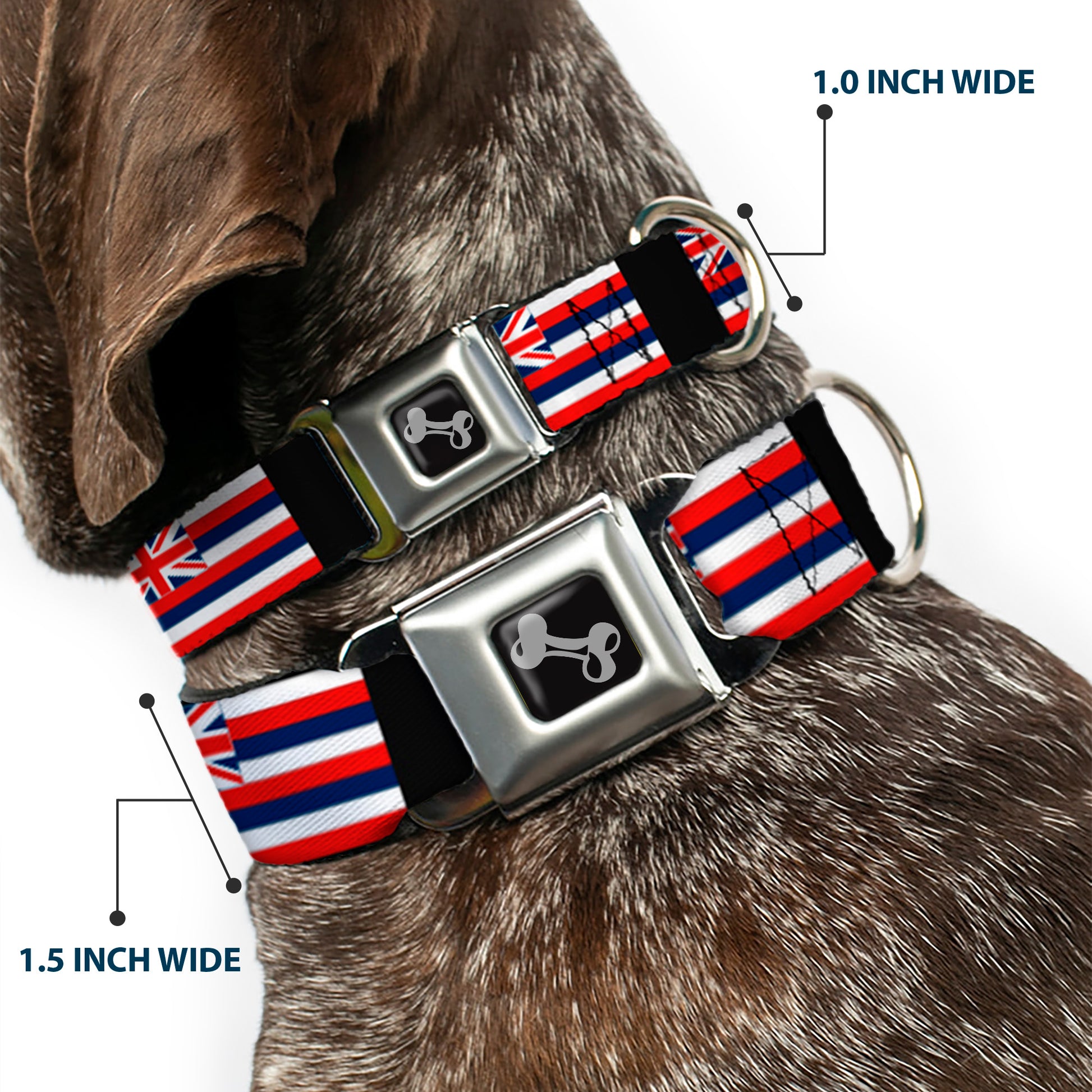 Dog Bone Seatbelt Buckle Collar - Hawaii Flags Seatbelt Buckle Collars Buckle-Down