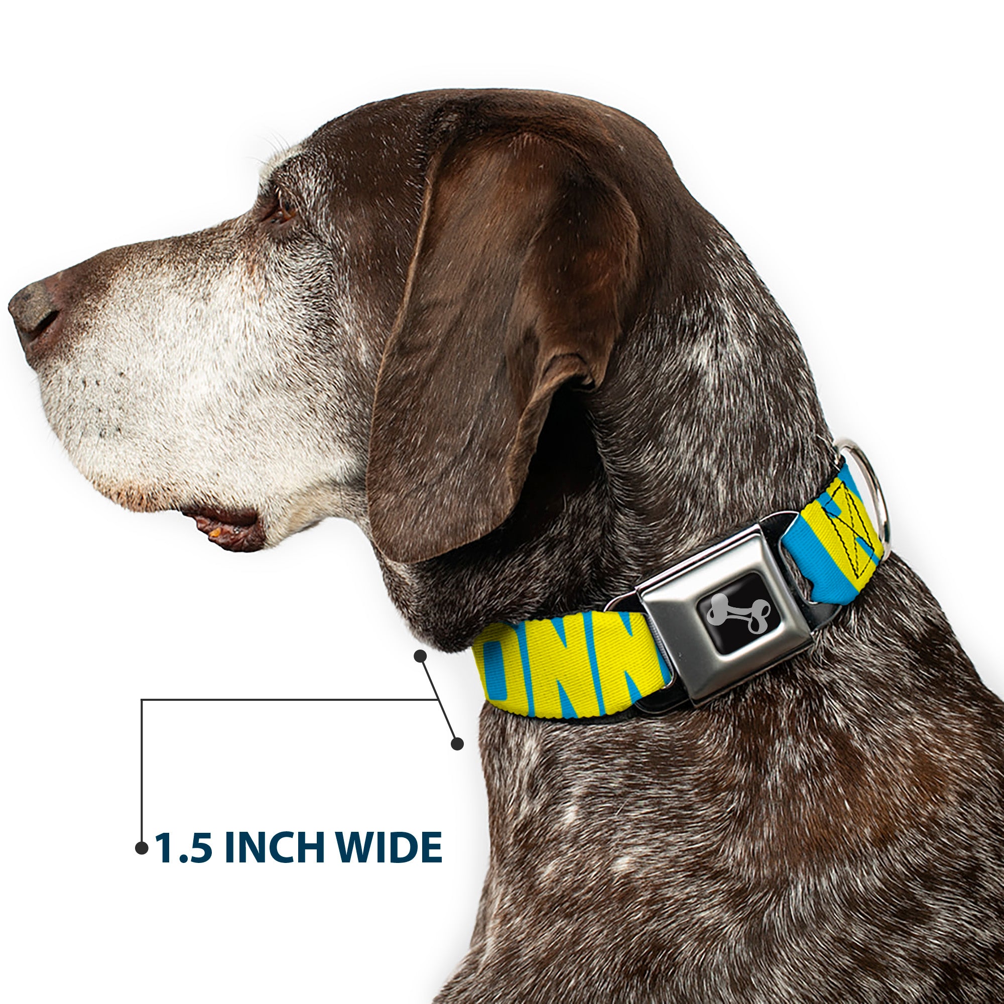 Dog Bone Seatbelt Buckle Collar - HATERS GONNA HATE Turquoise/Yellow Seatbelt Buckle Collars Buckle-Down