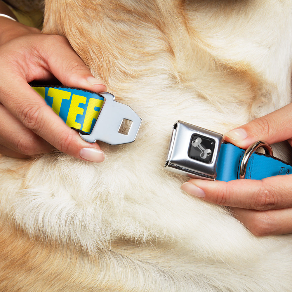 Dog Bone Seatbelt Buckle Collar - HATERS GONNA HATE Turquoise/Yellow Seatbelt Buckle Collars Buckle-Down