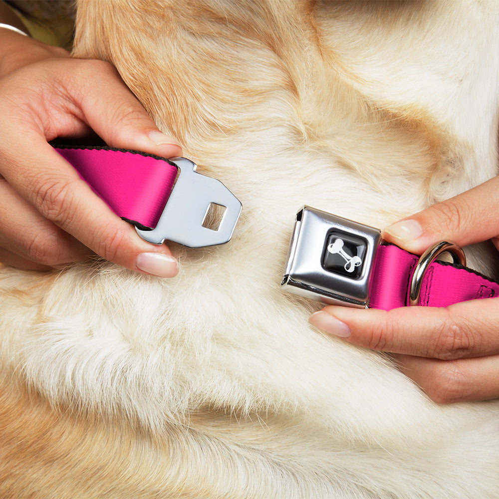 Dog Bone Seatbelt Buckle Collar - Hot Pink Seatbelt Buckle Collars Buckle-Down