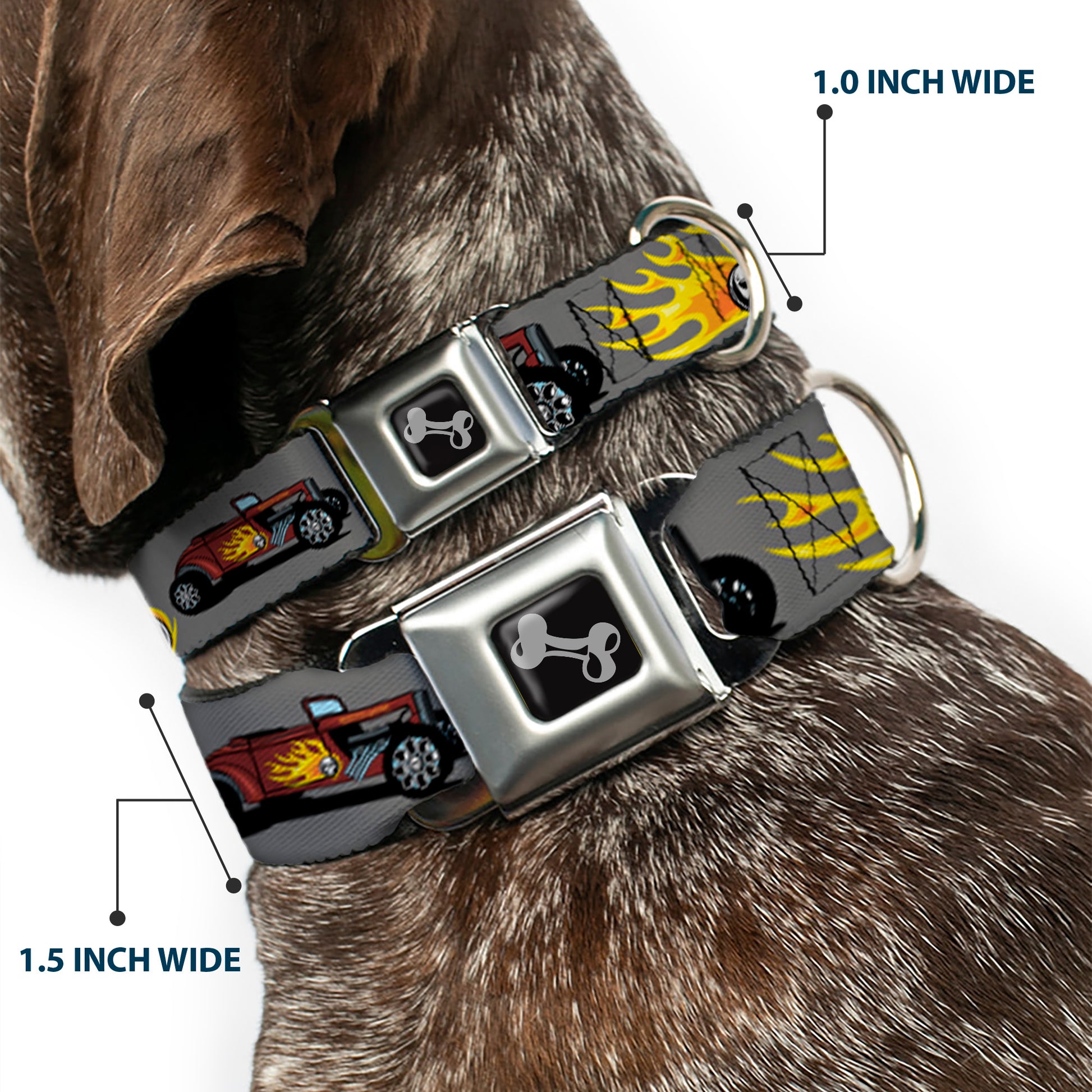 Dog Bone Seatbelt Buckle Collar - Hot Rod w/Flame Skull Seatbelt Buckle Collars Buckle-Down