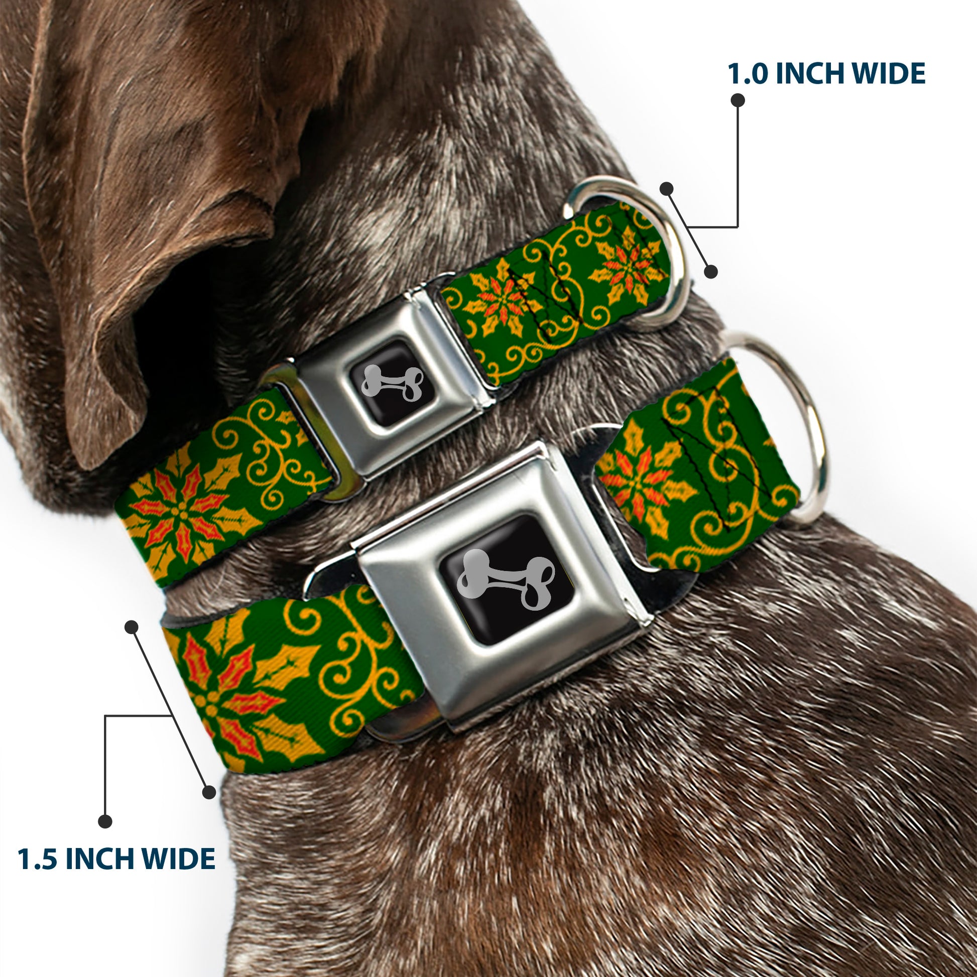 Dog Bone Seatbelt Buckle Collar - Holiday Holly Green/Gold/Red Seatbelt Buckle Collars Buckle-Down