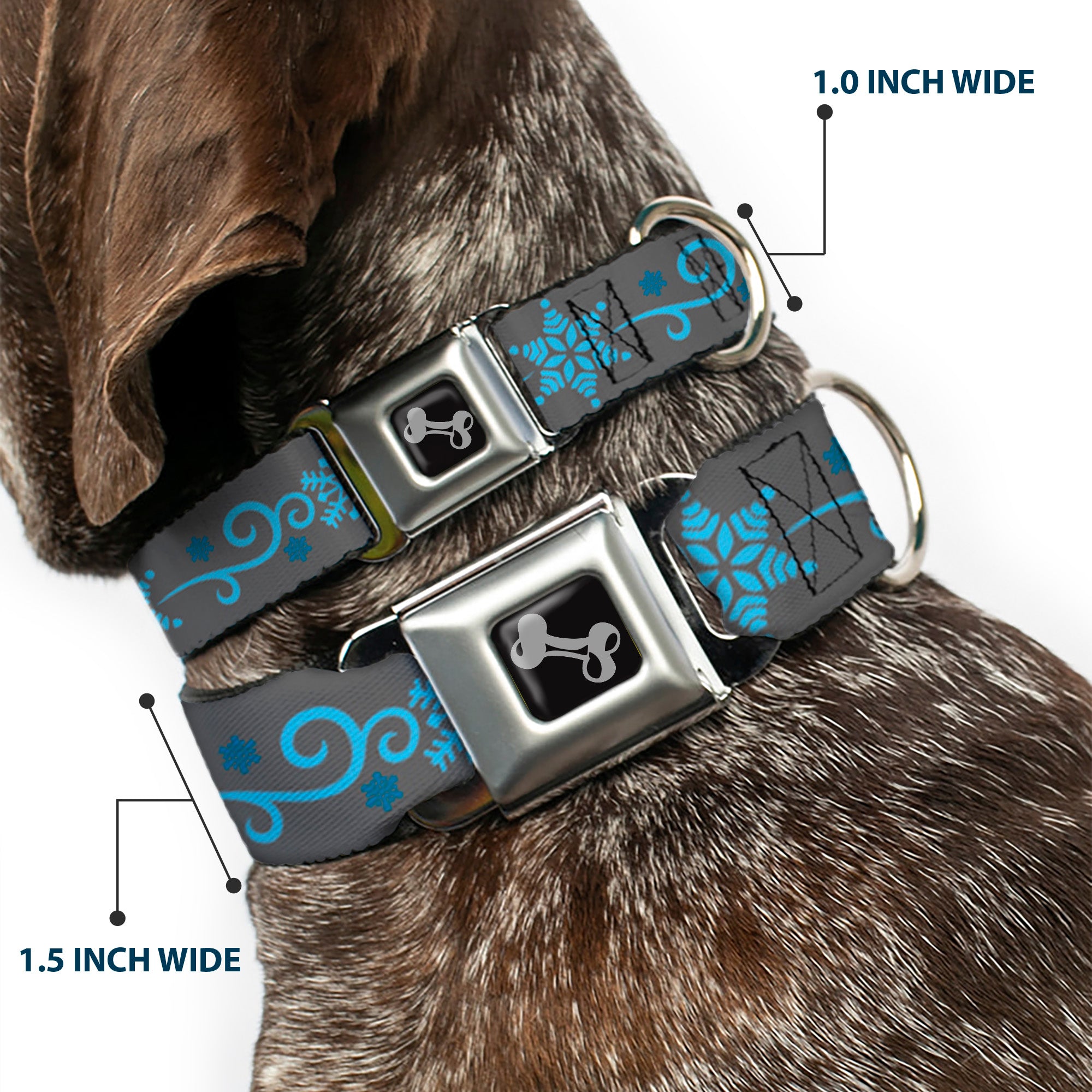 Dog Bone Seatbelt Buckle Collar - Holiday Snowflakes Gray/Blue Seatbelt Buckle Collars Buckle-Down